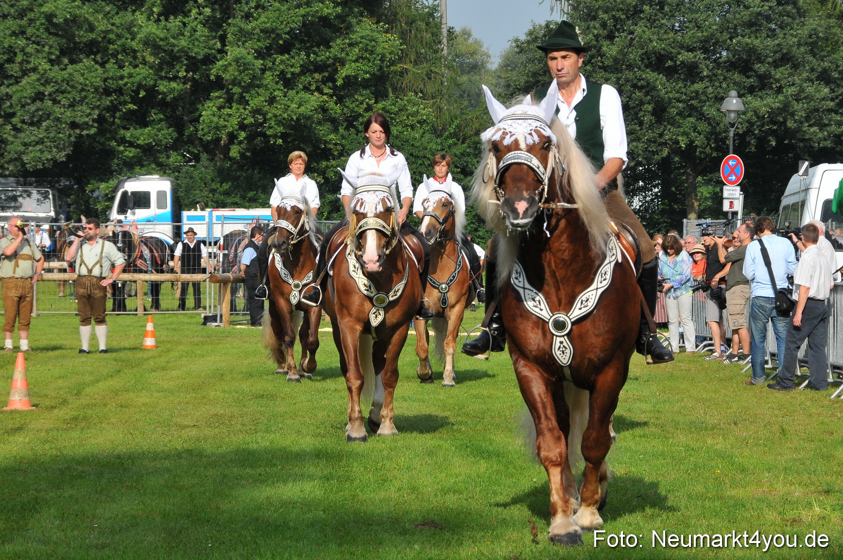 Pferdeschau Neumarkt 220811 0003