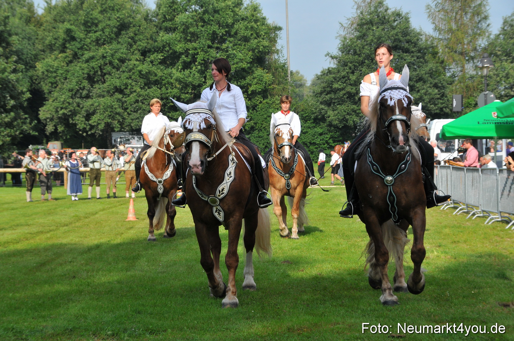 Pferdeschau Neumarkt 220811 0004