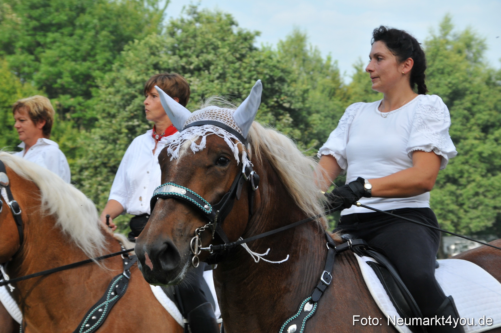 Pferdeschau Neumarkt 220811 0005