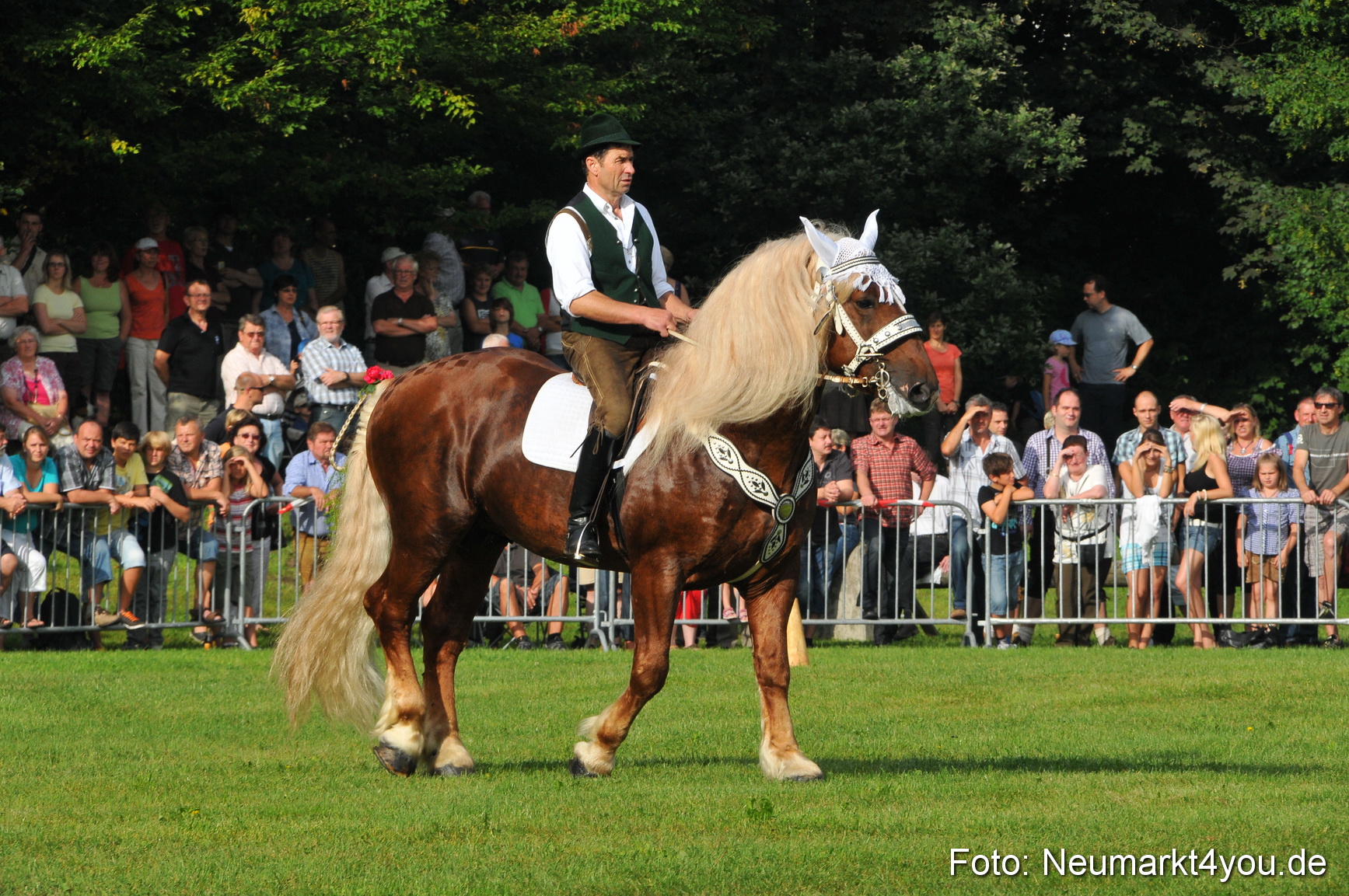 Pferdeschau Neumarkt 220811 0006