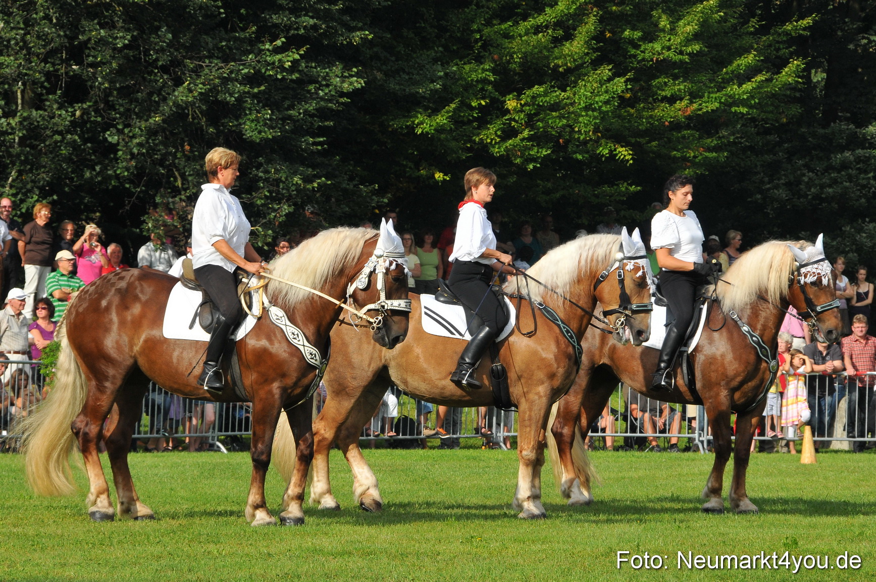 Pferdeschau Neumarkt 220811 0008