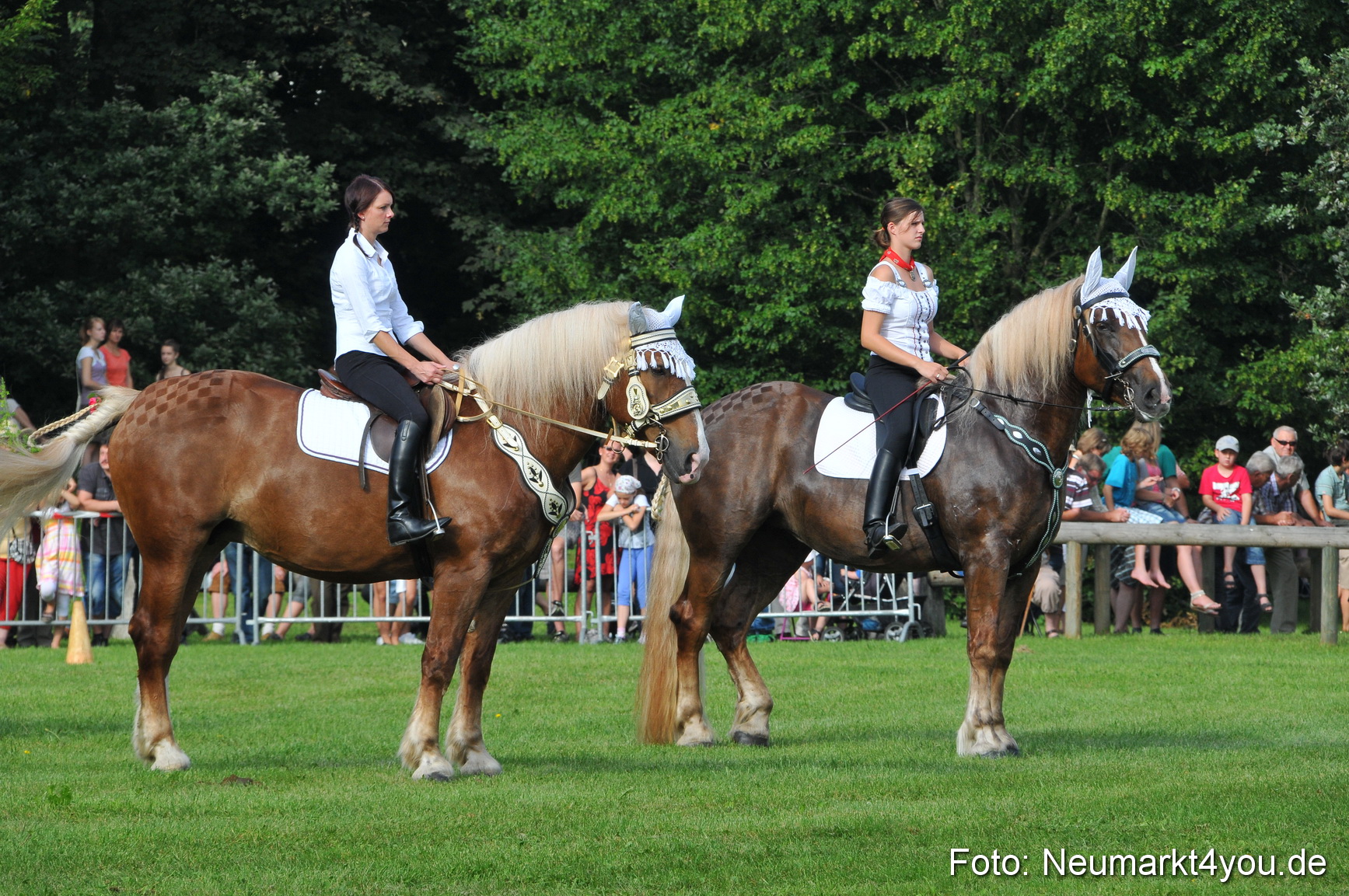 Pferdeschau Neumarkt 220811 0009