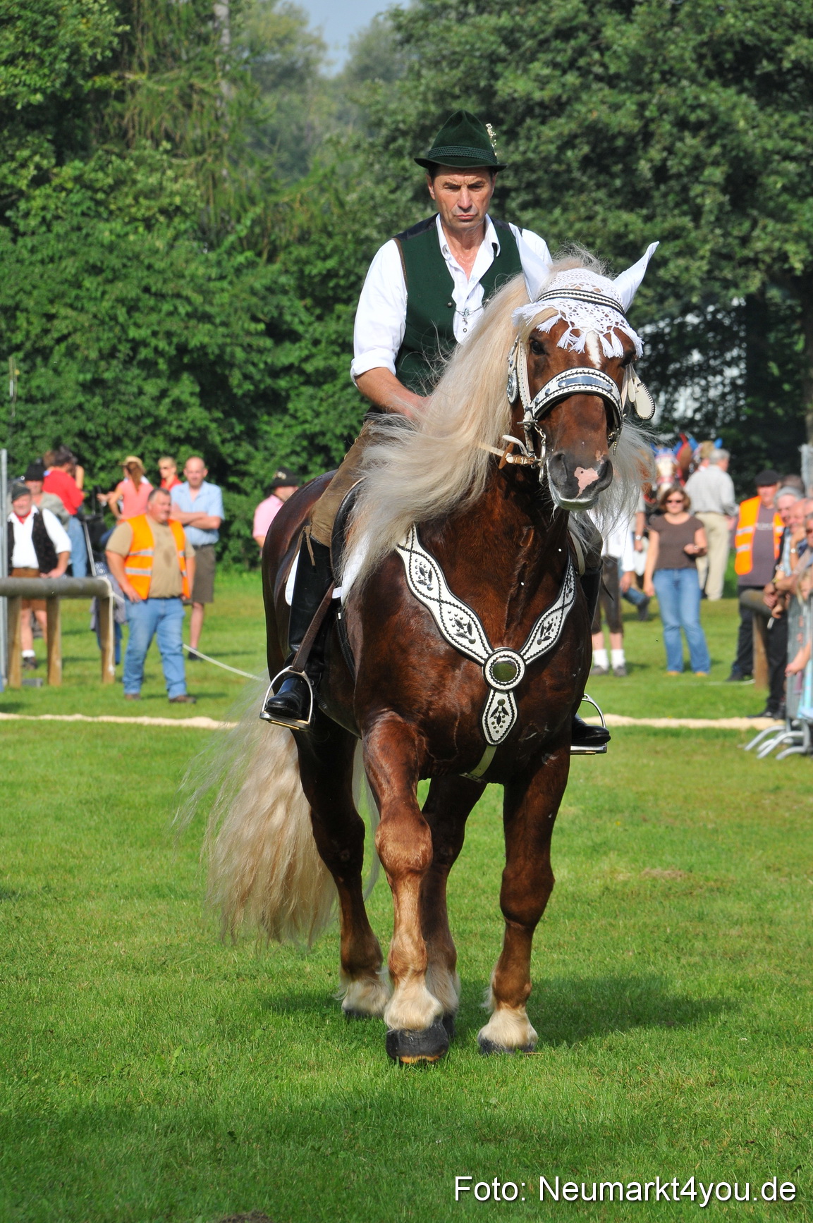 Pferdeschau Neumarkt 220811 0011