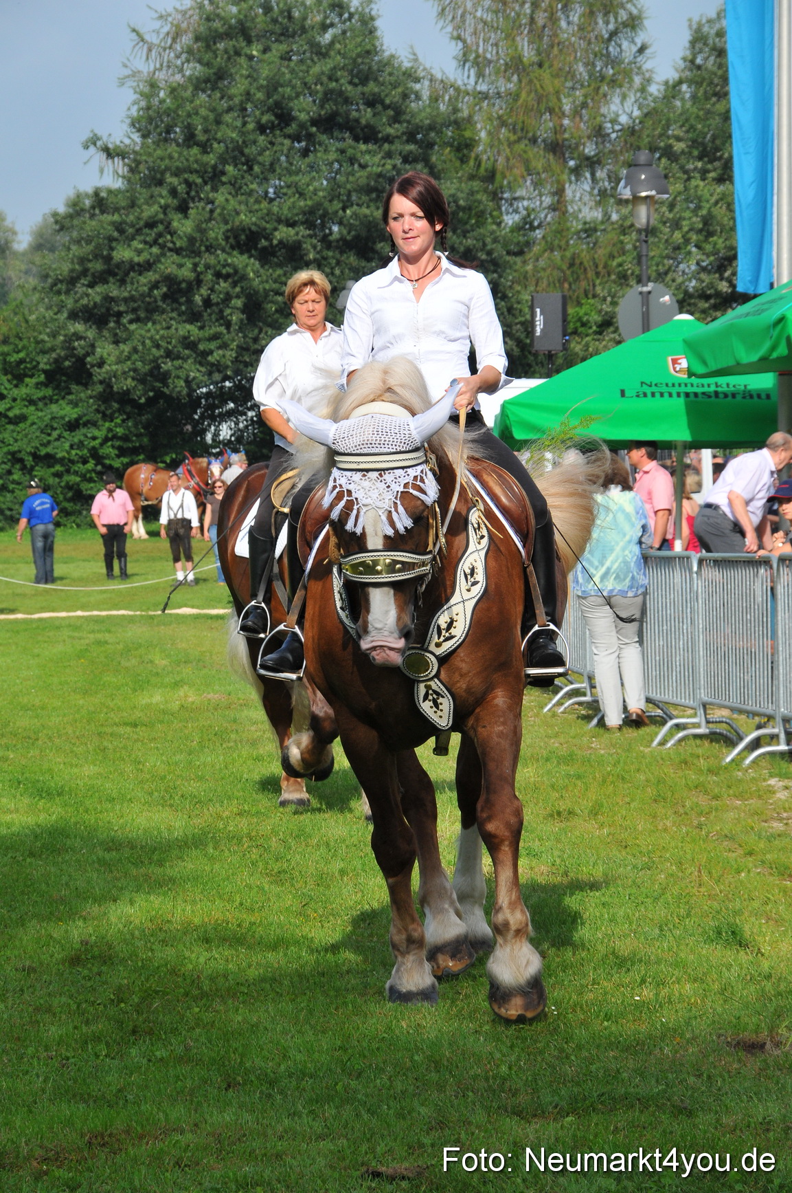 Pferdeschau Neumarkt 220811 0012