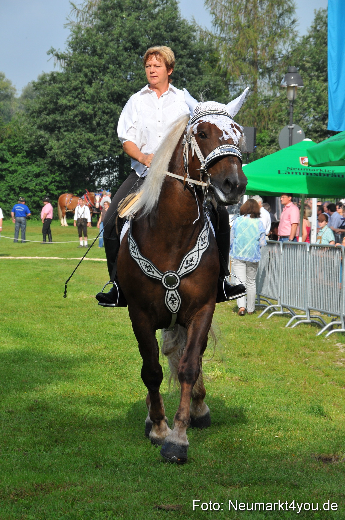Pferdeschau Neumarkt 220811 0013