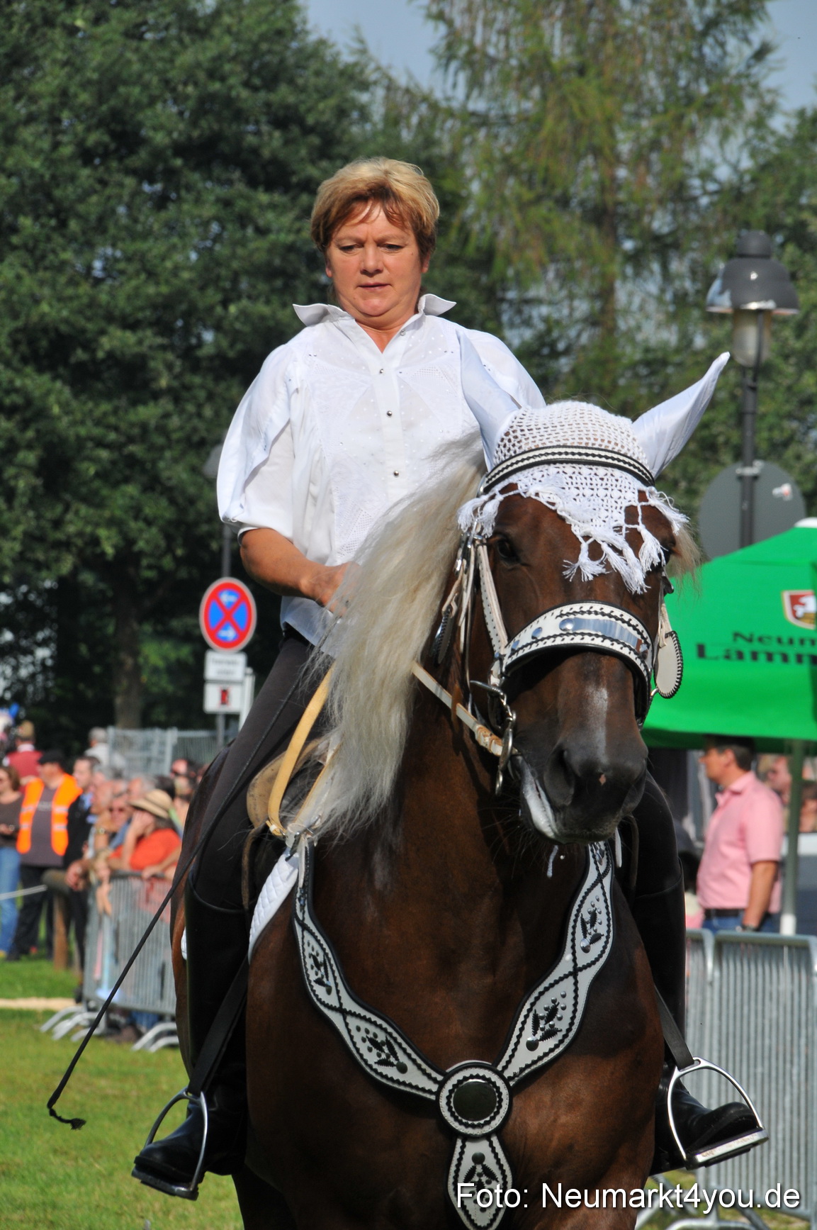 Pferdeschau Neumarkt 220811 0014