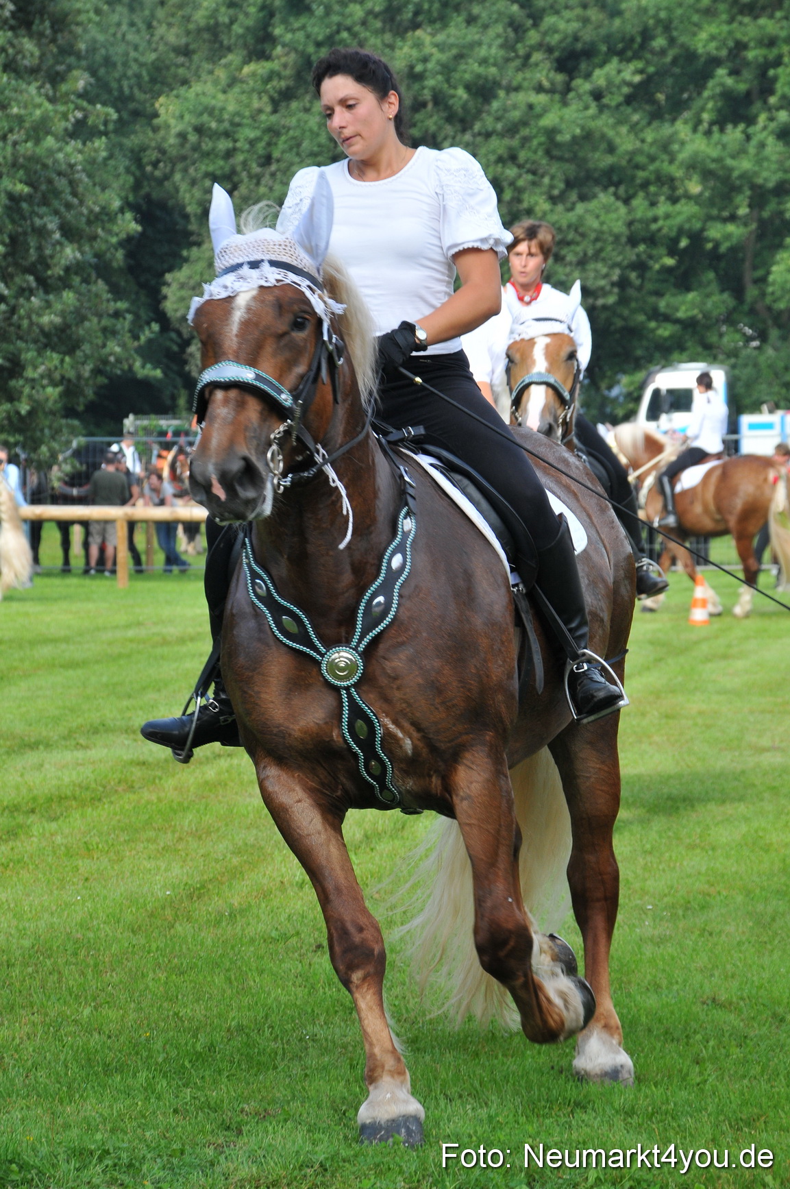 Pferdeschau Neumarkt 220811 0015