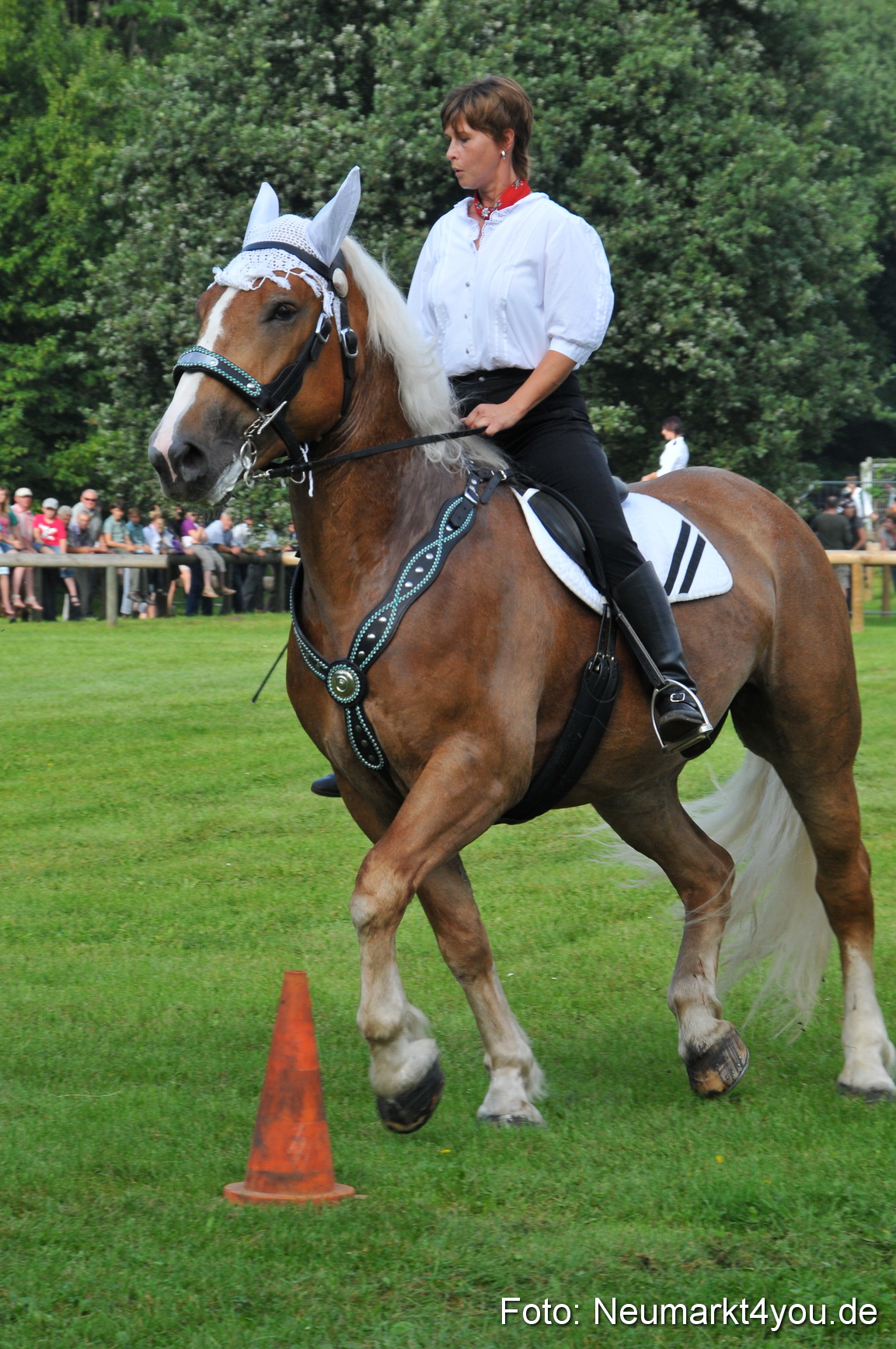 Pferdeschau Neumarkt 220811 0016