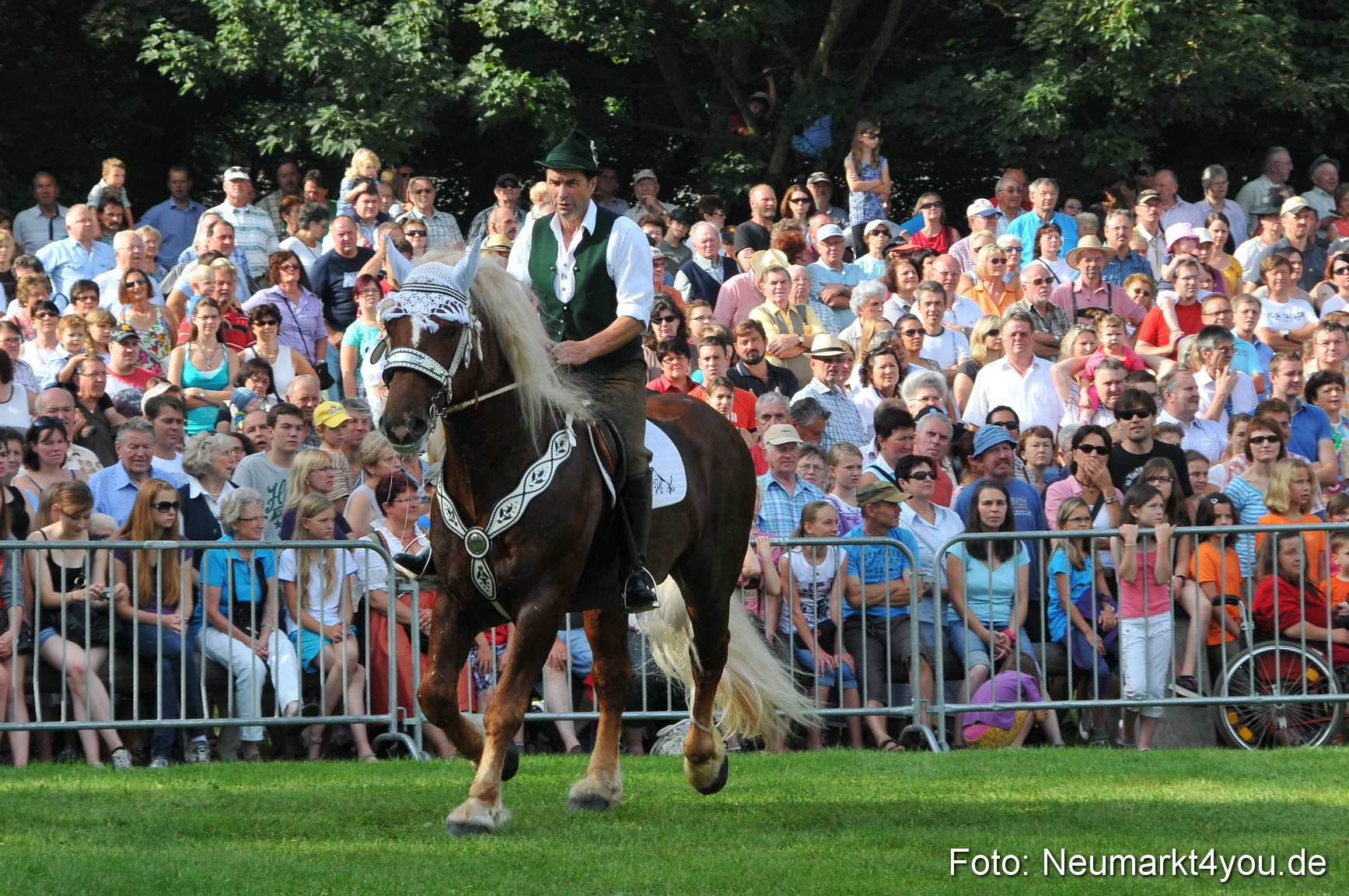 Pferdeschau Neumarkt 220811 0017