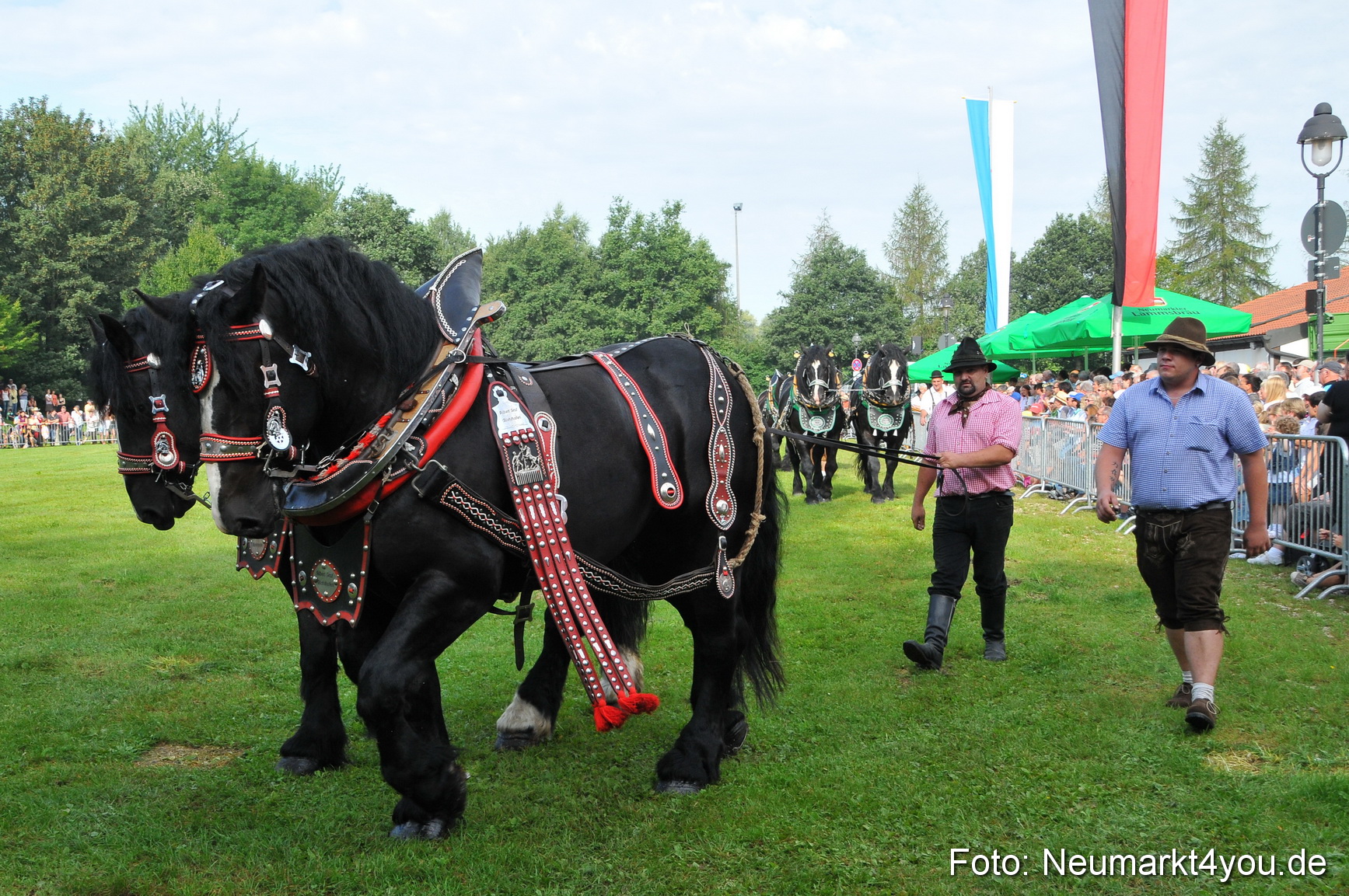 Pferdeschau Neumarkt 220811 0020