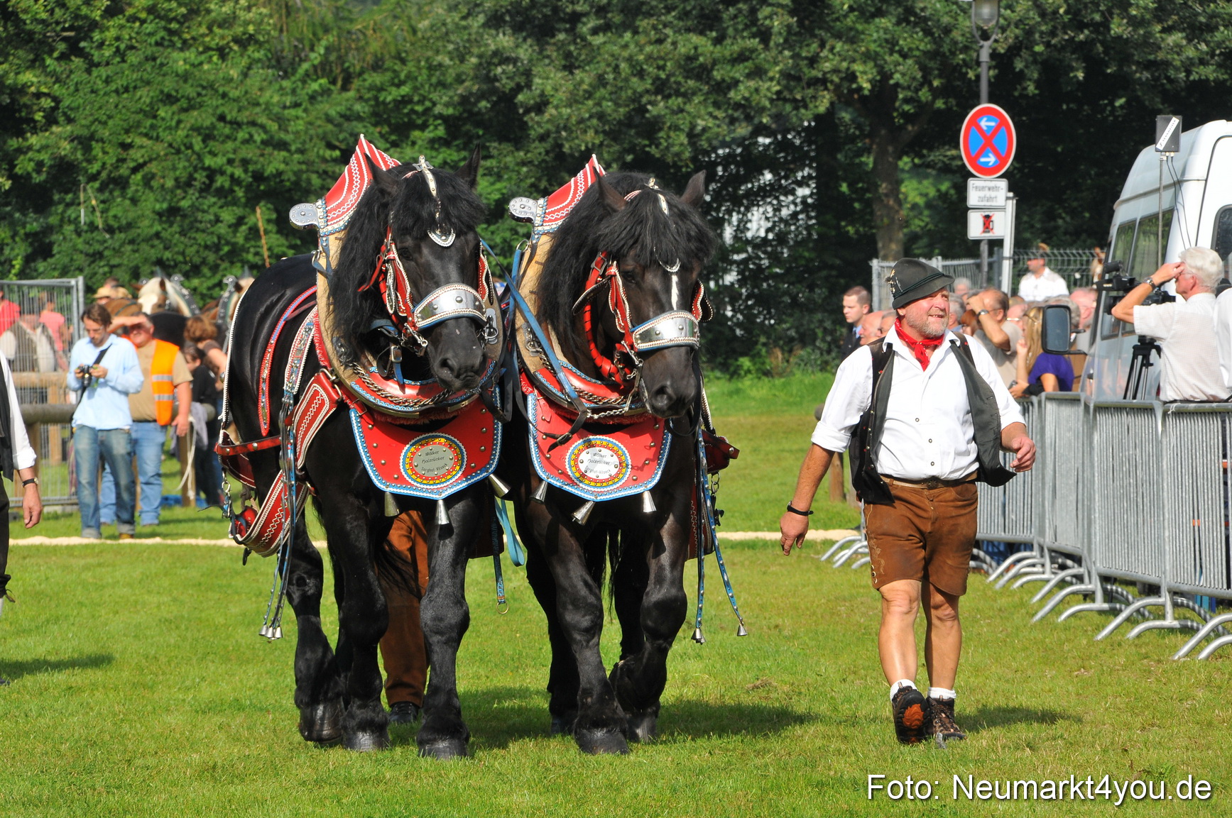 Pferdeschau Neumarkt 220811 0028