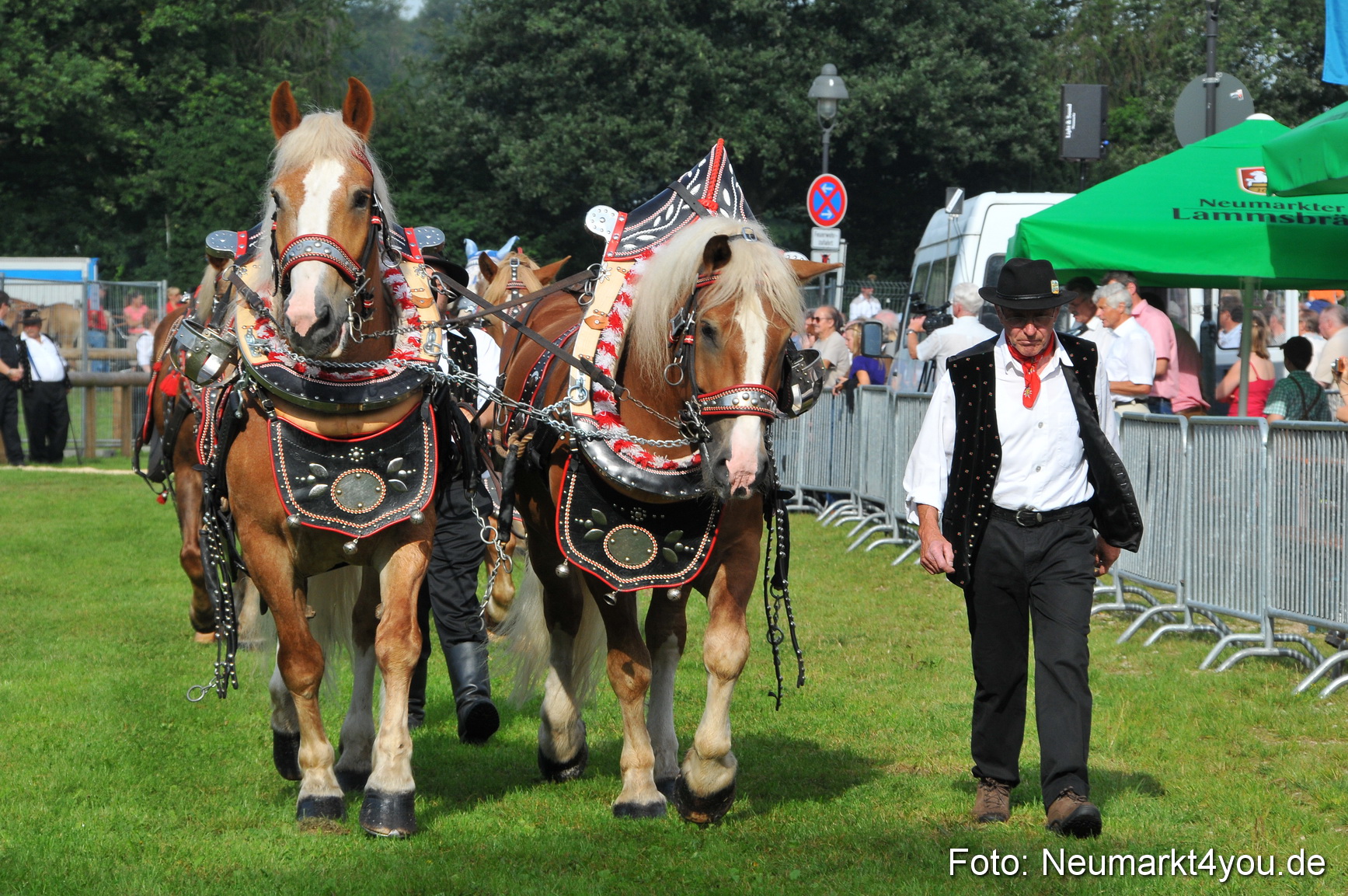 Pferdeschau Neumarkt 220811 0036