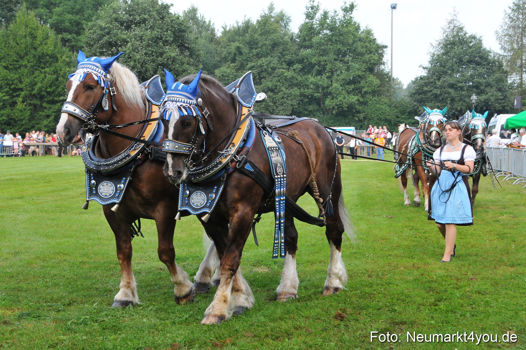 Pferdeschau Neumarkt 220811 0039