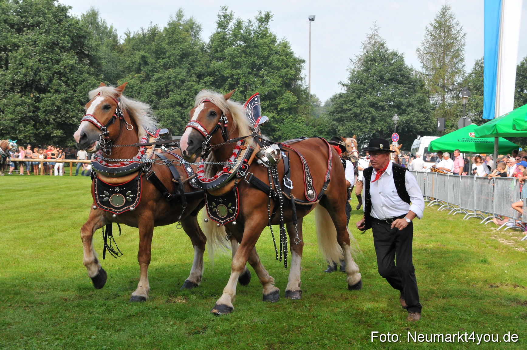 Pferdeschau Neumarkt 220811 0041