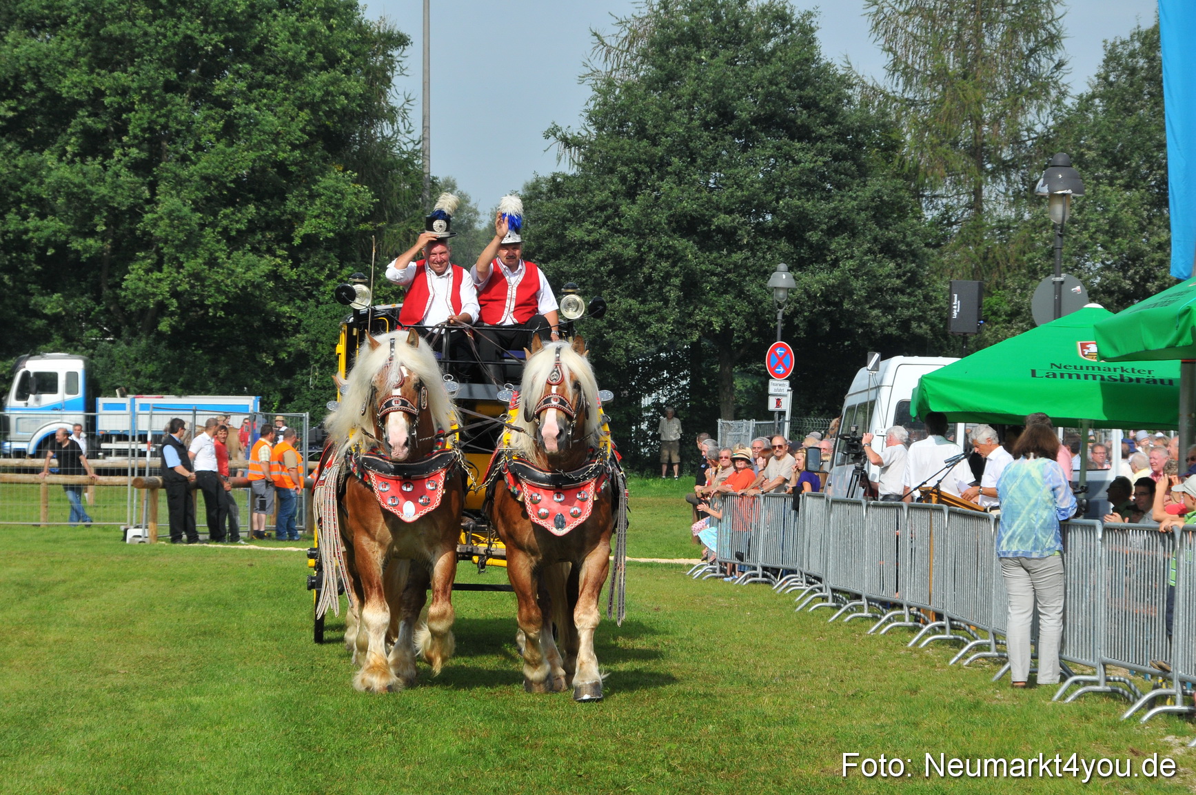Pferdeschau Neumarkt 220811 0048