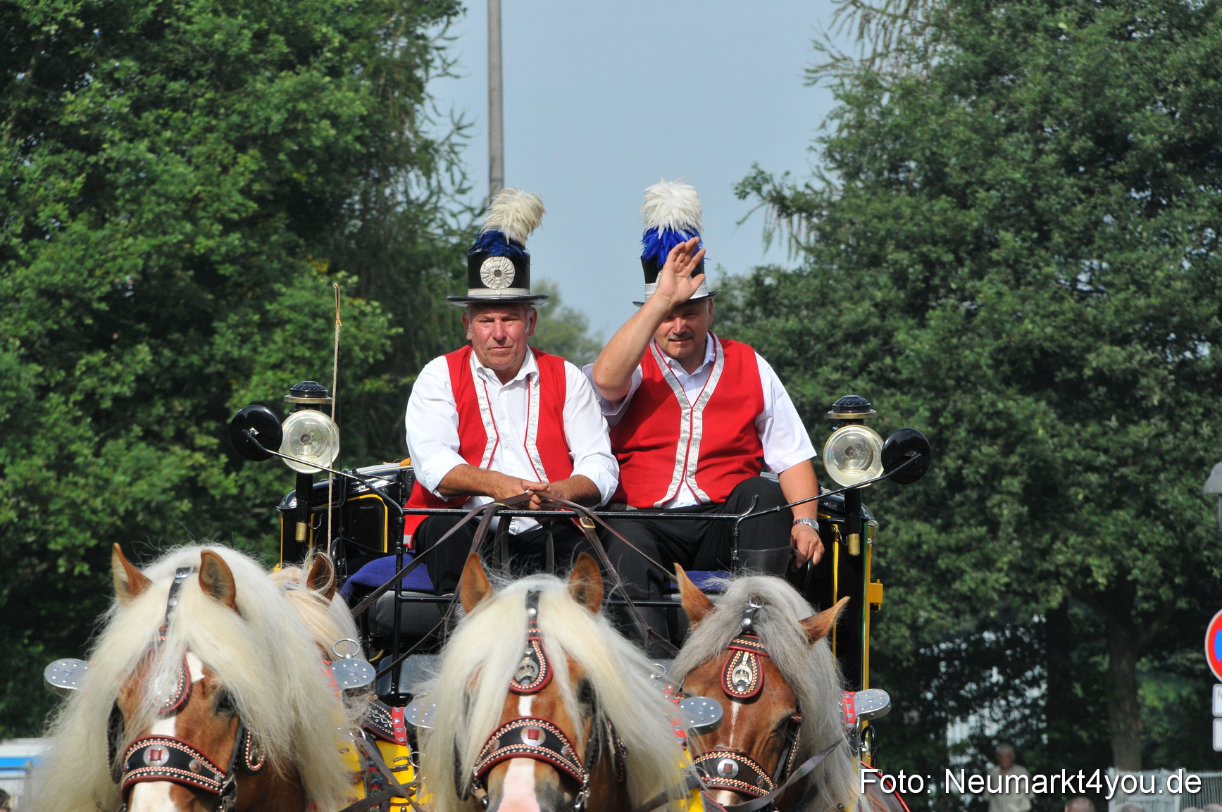 Pferdeschau Neumarkt 220811 0049