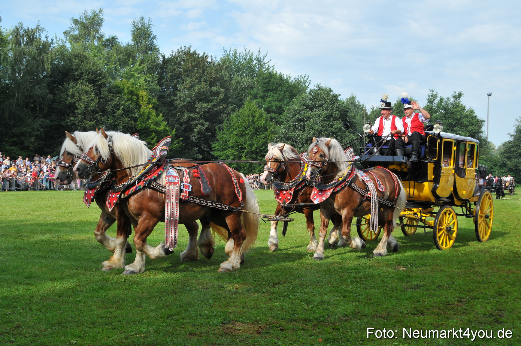 Pferdeschau Neumarkt 220811 0050