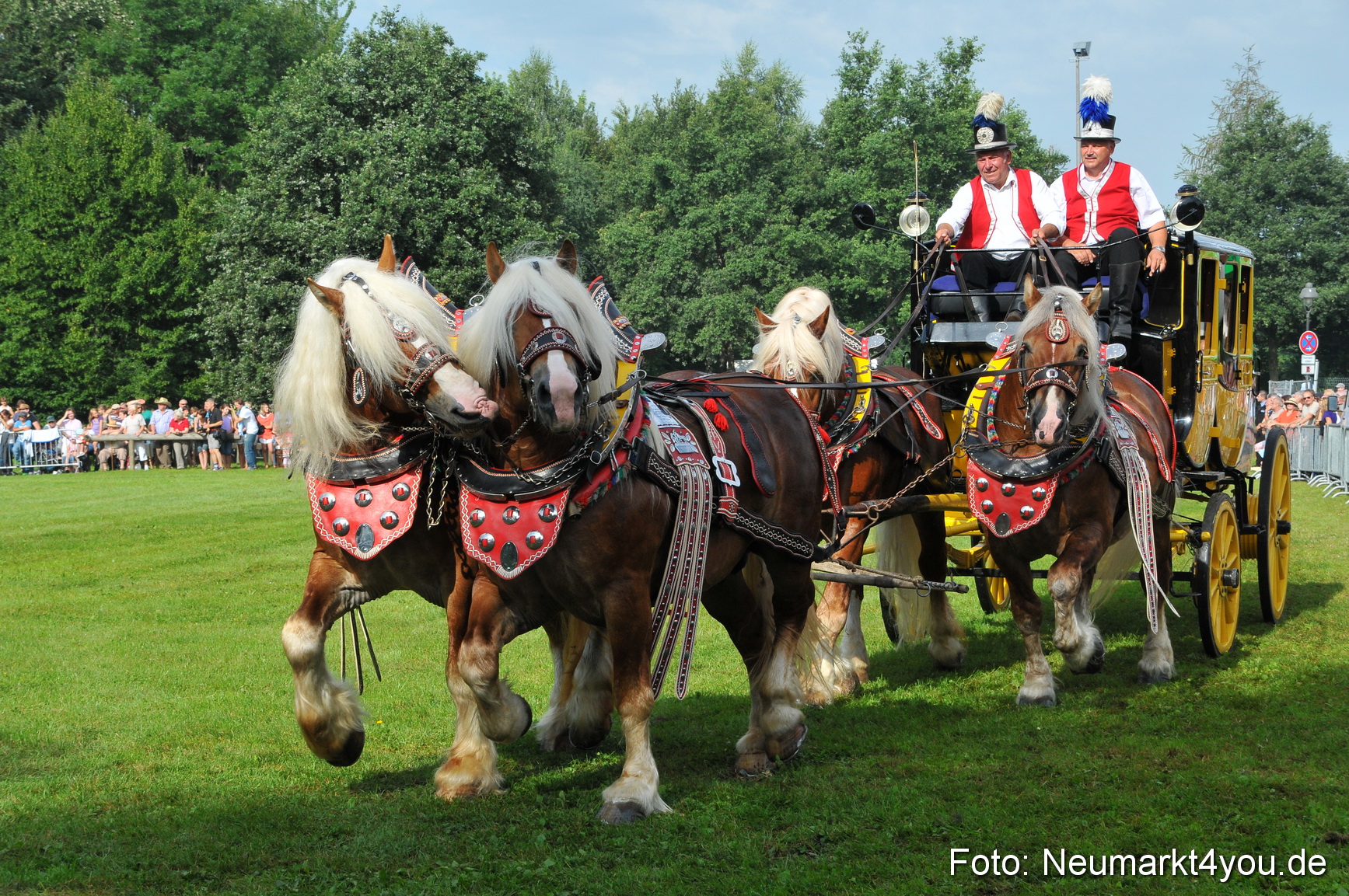 Pferdeschau Neumarkt 220811 0054