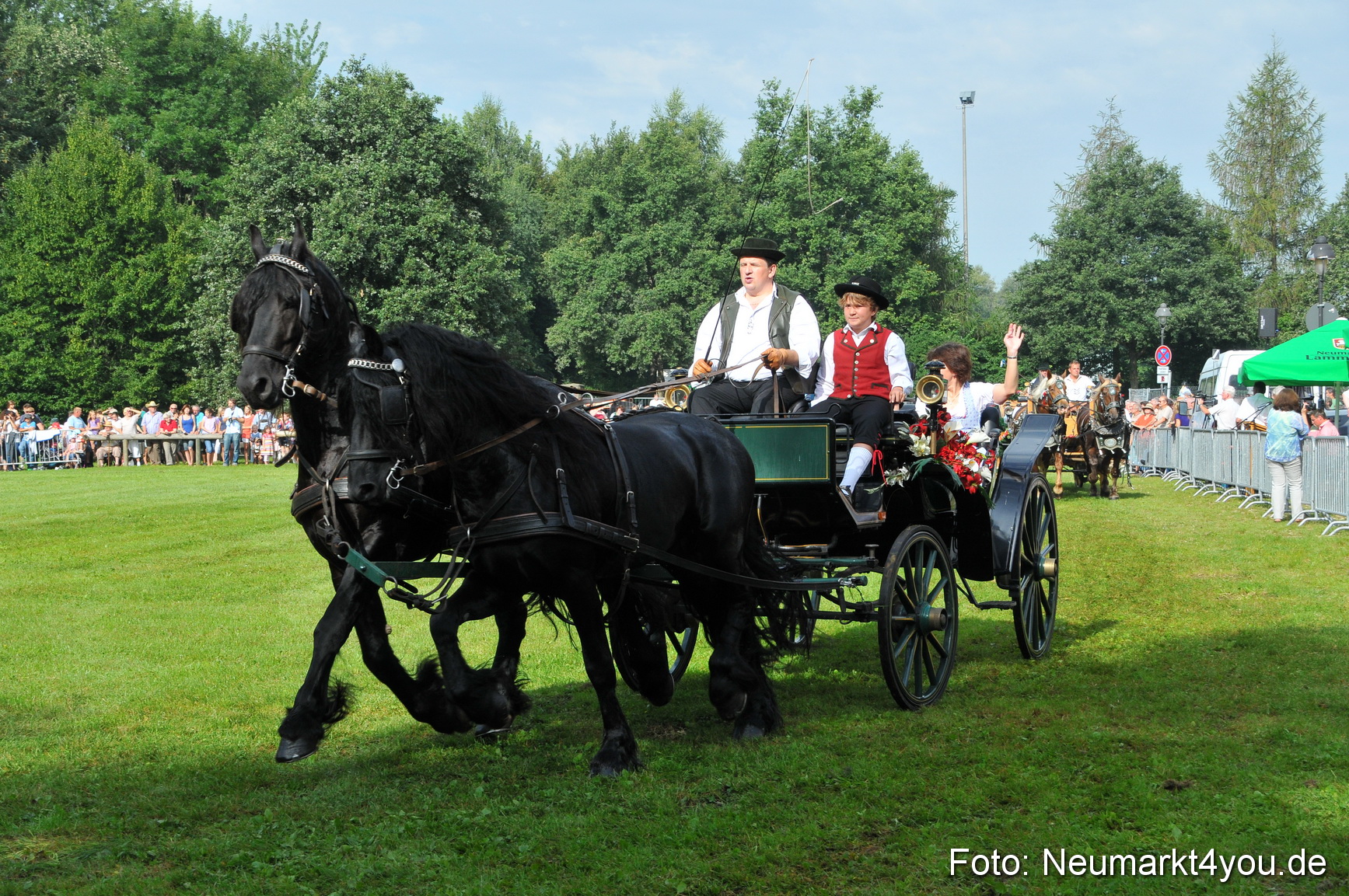 Pferdeschau Neumarkt 220811 0055