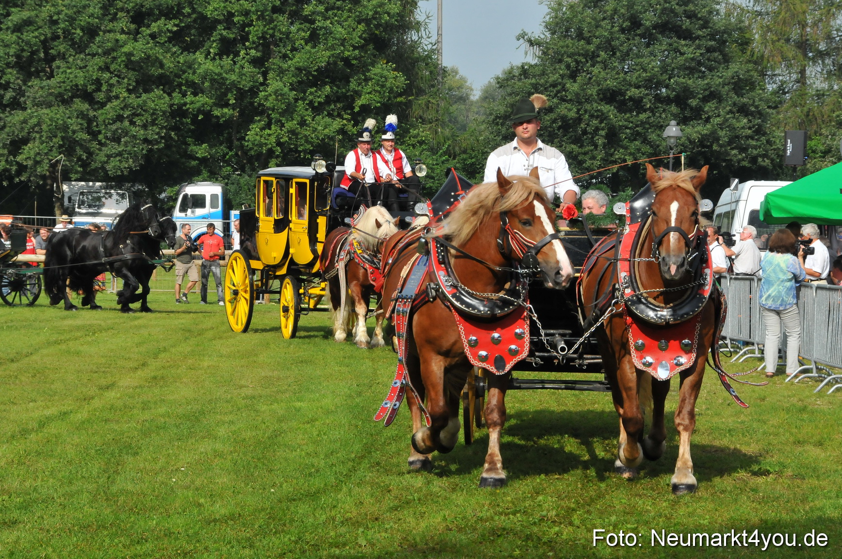 Pferdeschau Neumarkt 220811 0056