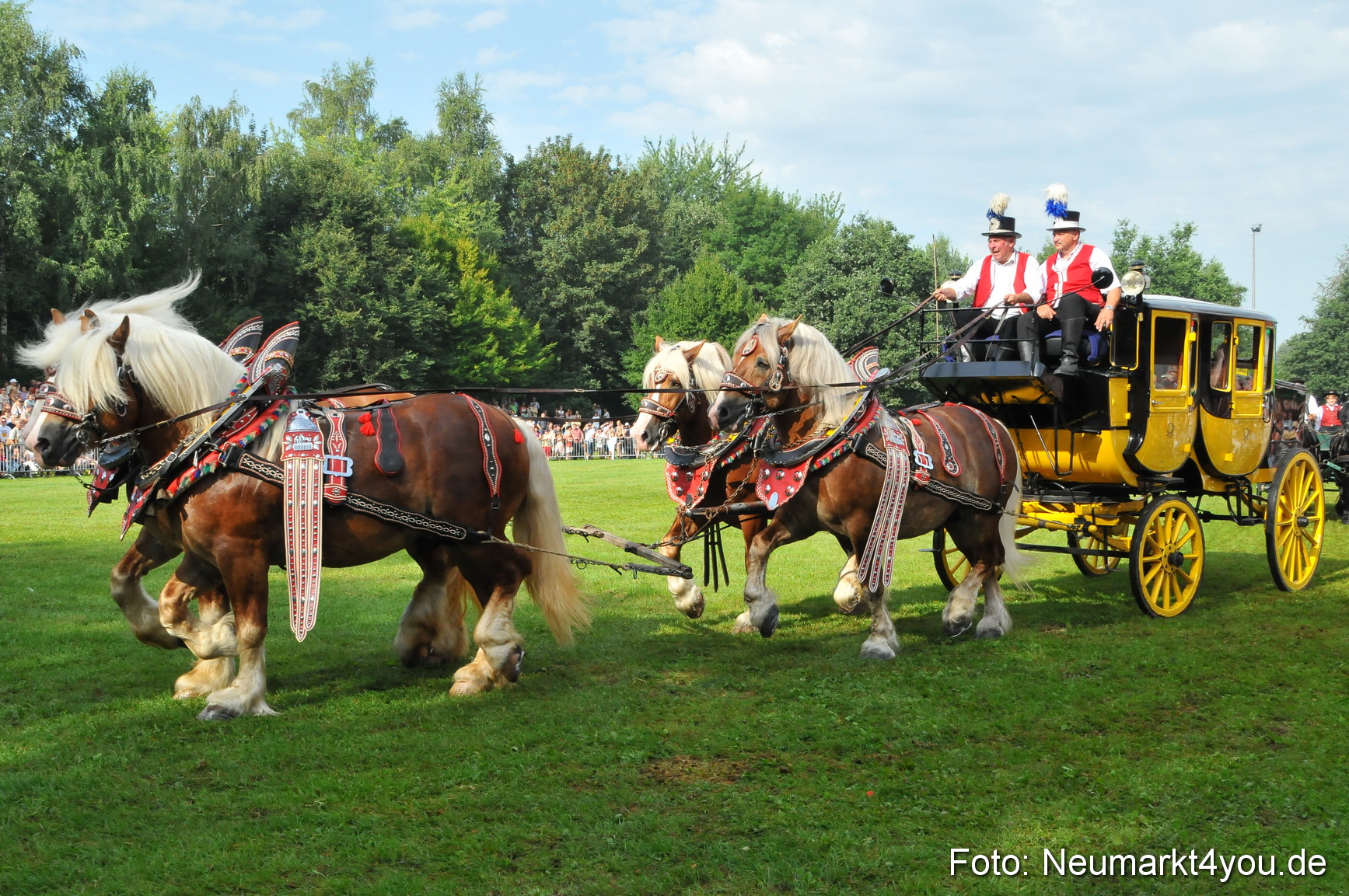 Pferdeschau Neumarkt 220811 0057