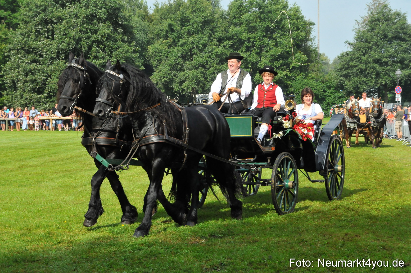 Pferdeschau Neumarkt 220811 0058