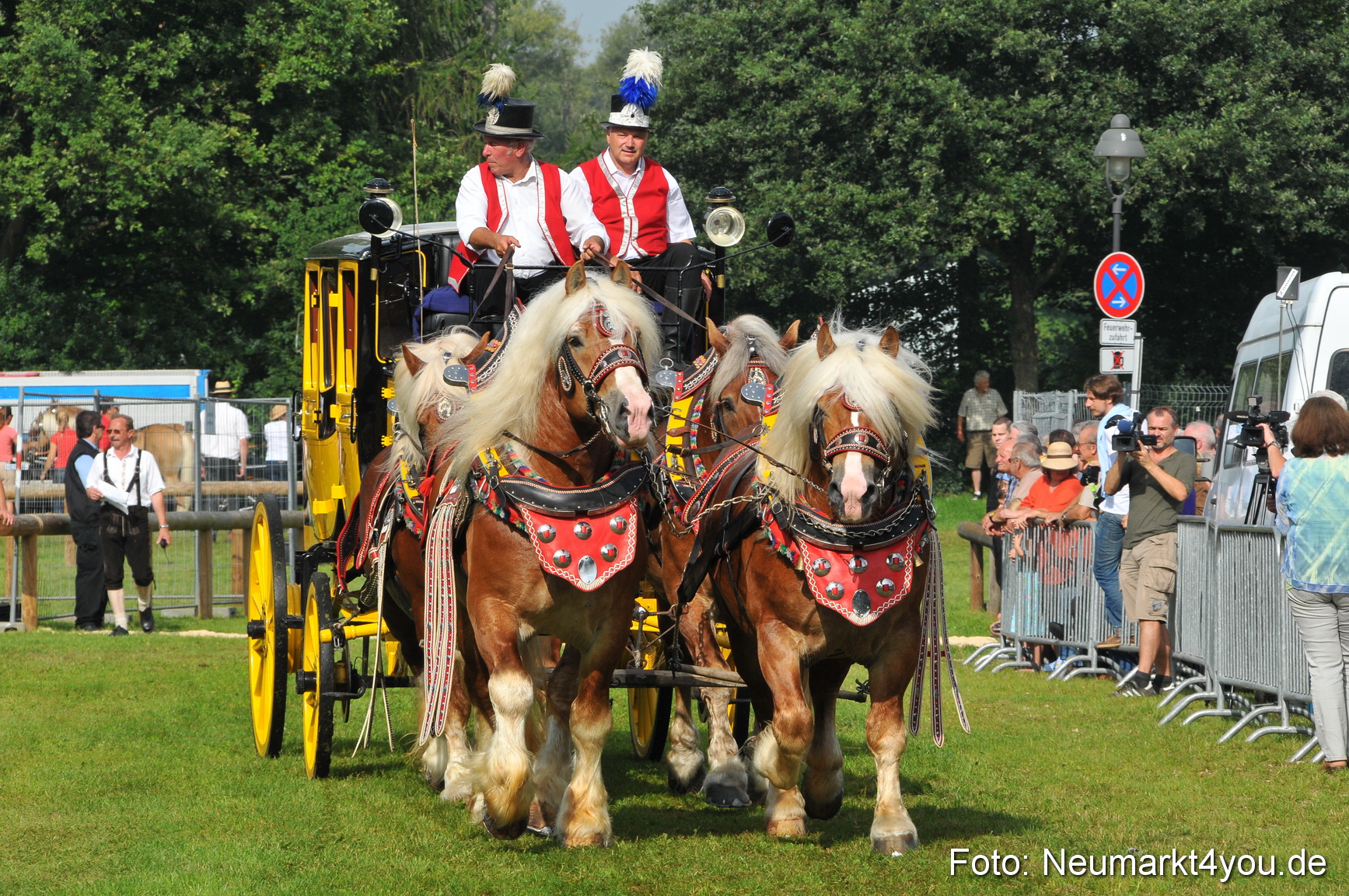 Pferdeschau Neumarkt 220811 0059