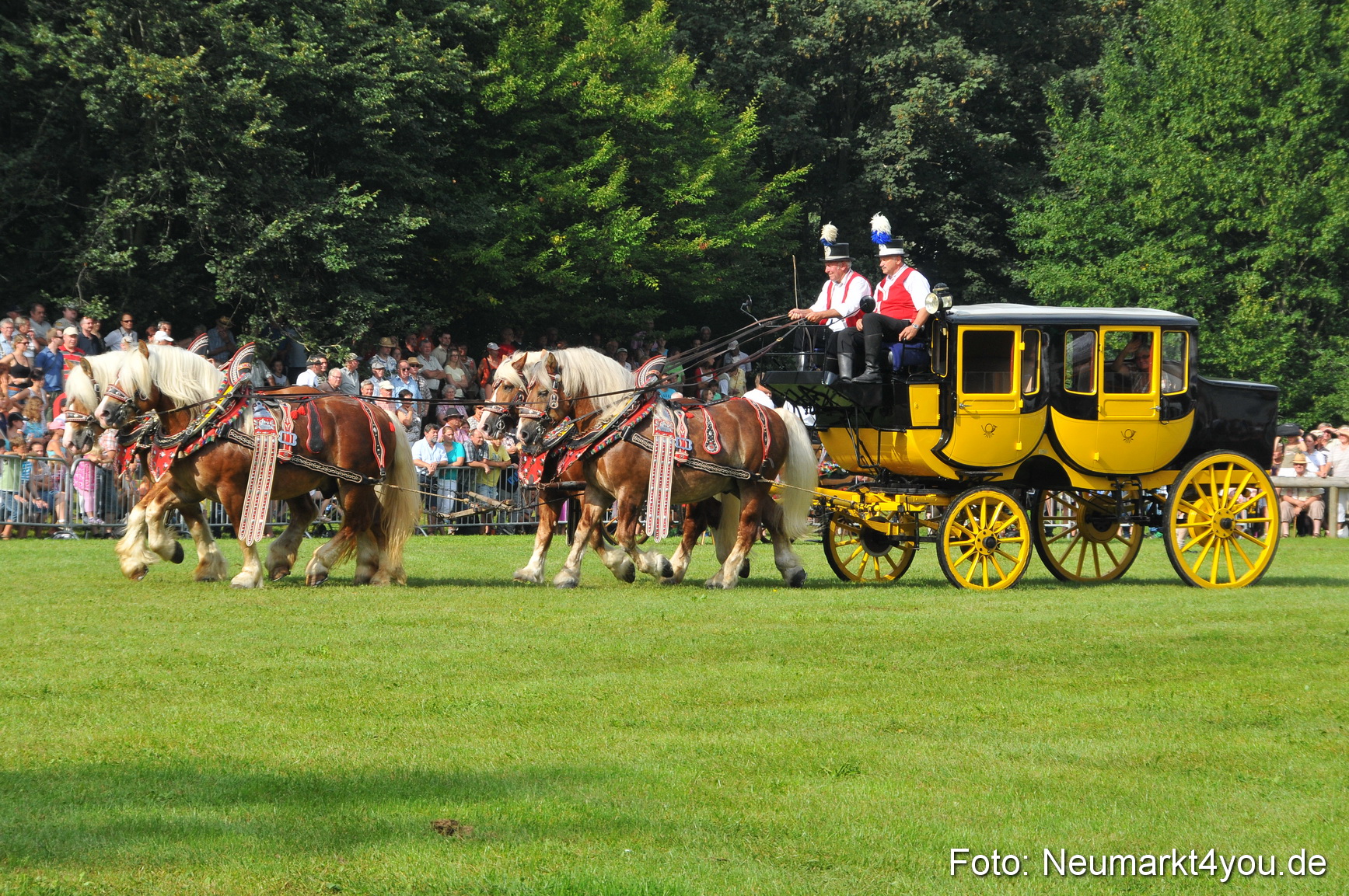 Pferdeschau Neumarkt 220811 0060