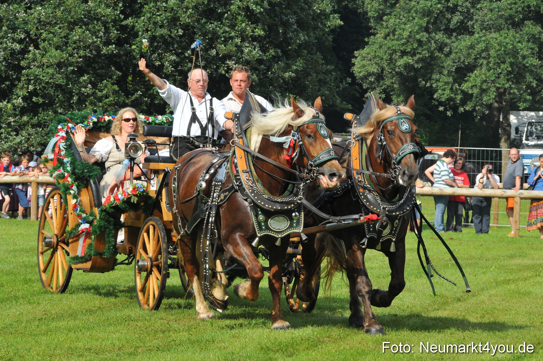 Pferdeschau Neumarkt 220811 0061