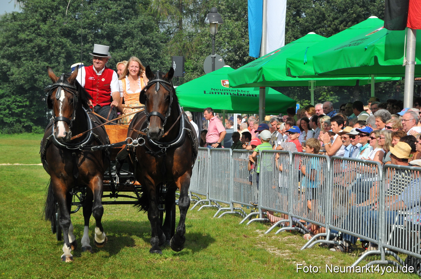 Pferdeschau Neumarkt 220811 0062