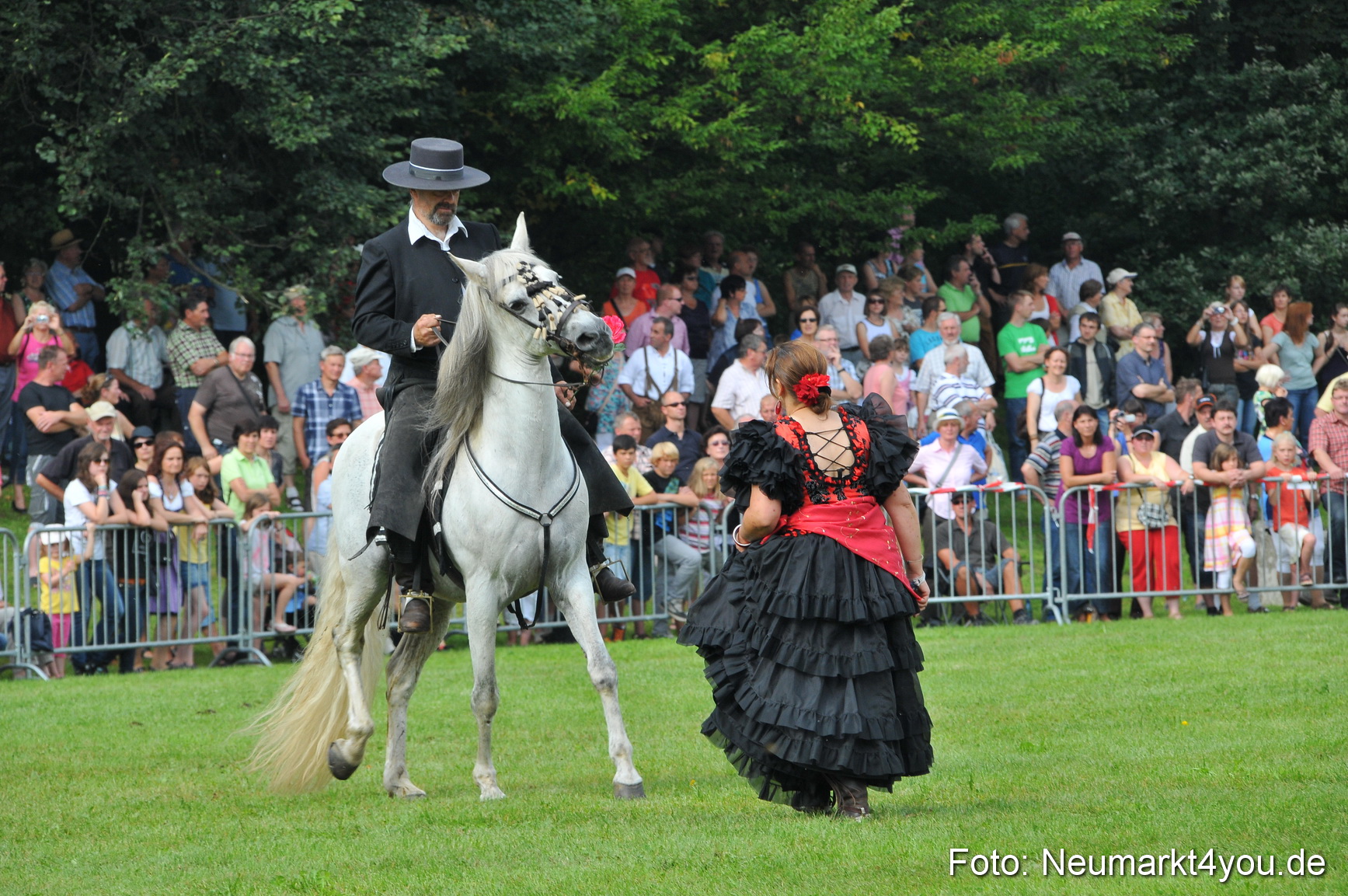 Pferdeschau Neumarkt 220811 0064