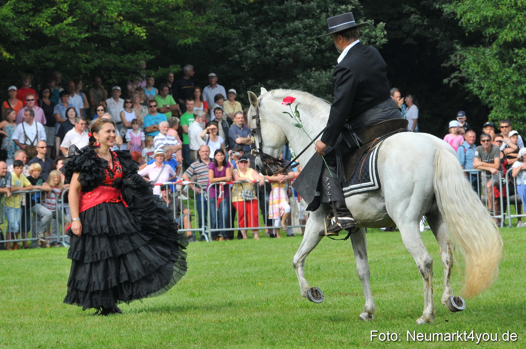 Pferdeschau Neumarkt 220811 0065