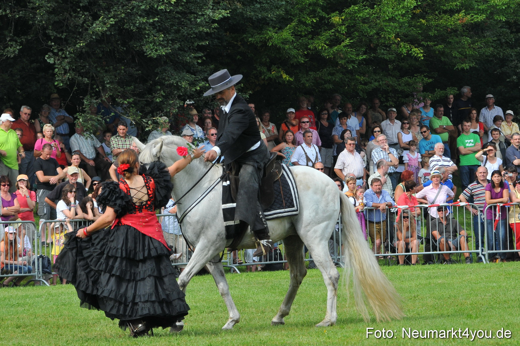 Pferdeschau Neumarkt 220811 0066