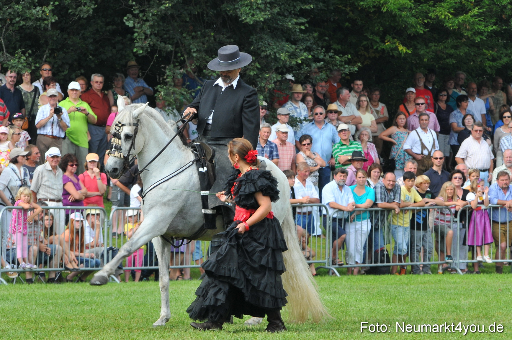 Pferdeschau Neumarkt 220811 0067