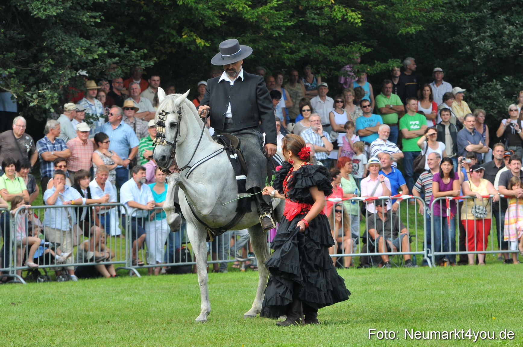 Pferdeschau Neumarkt 220811 0068