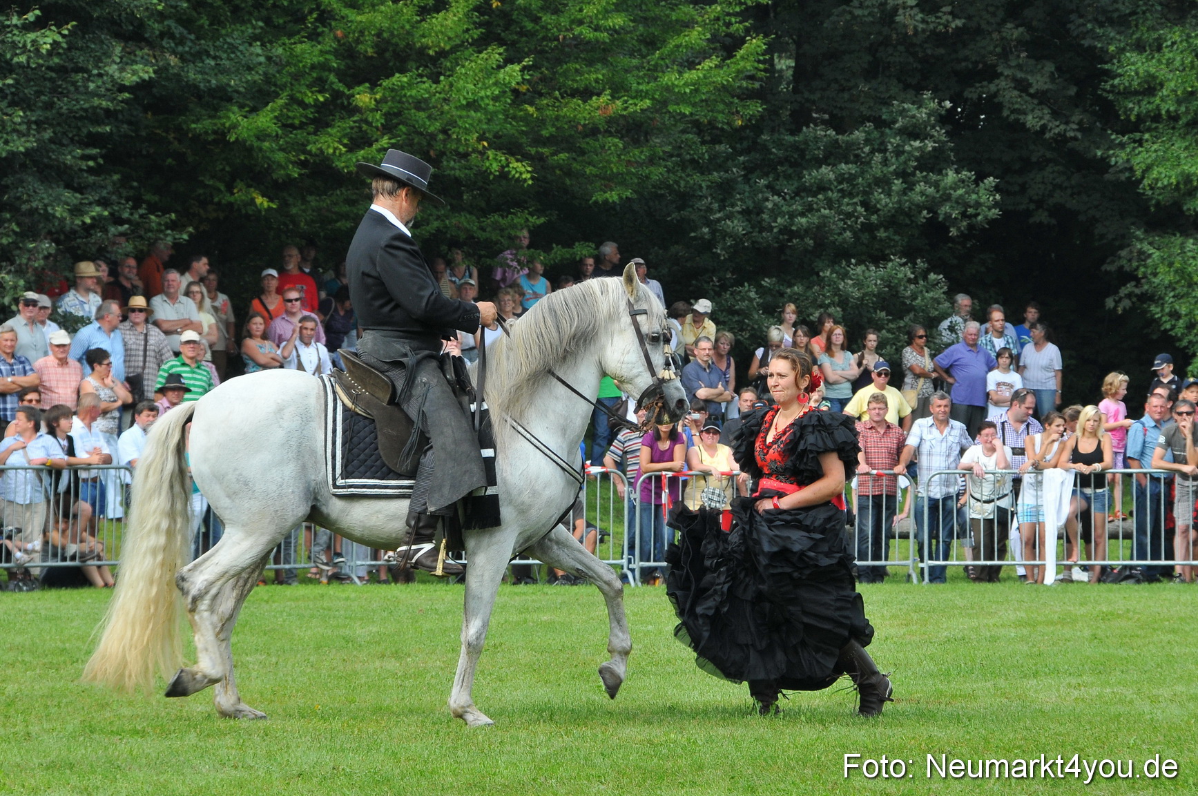 Pferdeschau Neumarkt 220811 0069