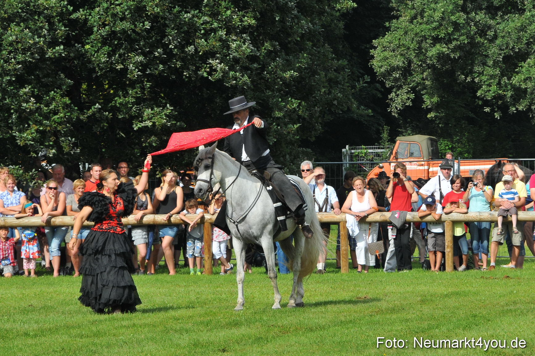 Pferdeschau Neumarkt 220811 0070