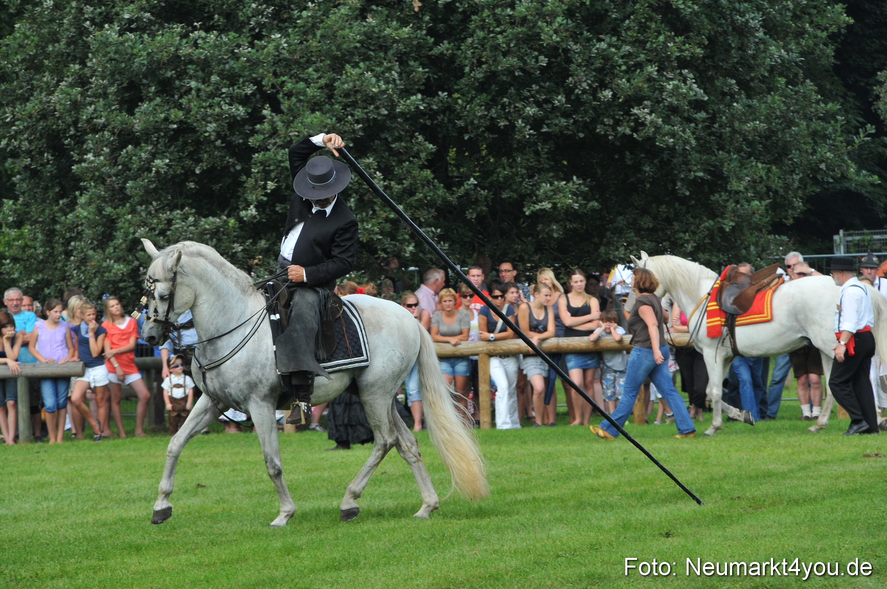 Pferdeschau Neumarkt 220811 0071