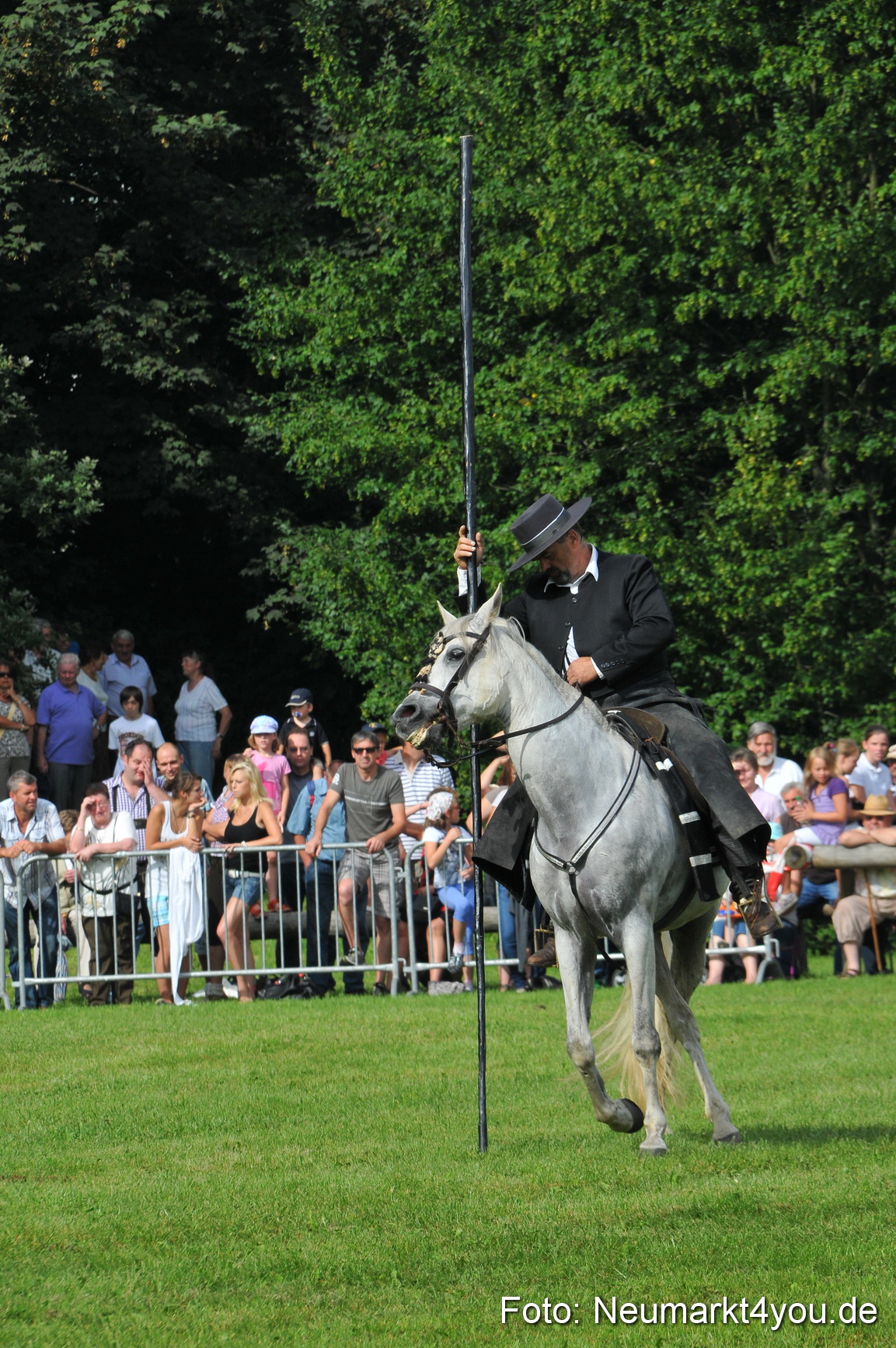 Pferdeschau Neumarkt 220811 0072