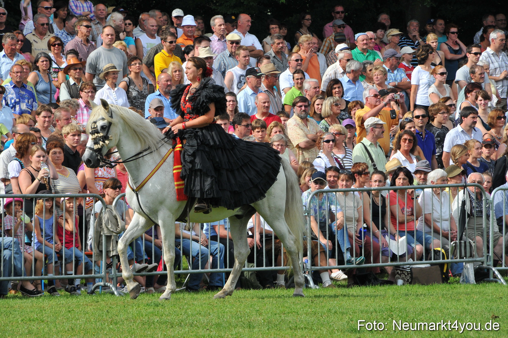Pferdeschau Neumarkt 220811 0073