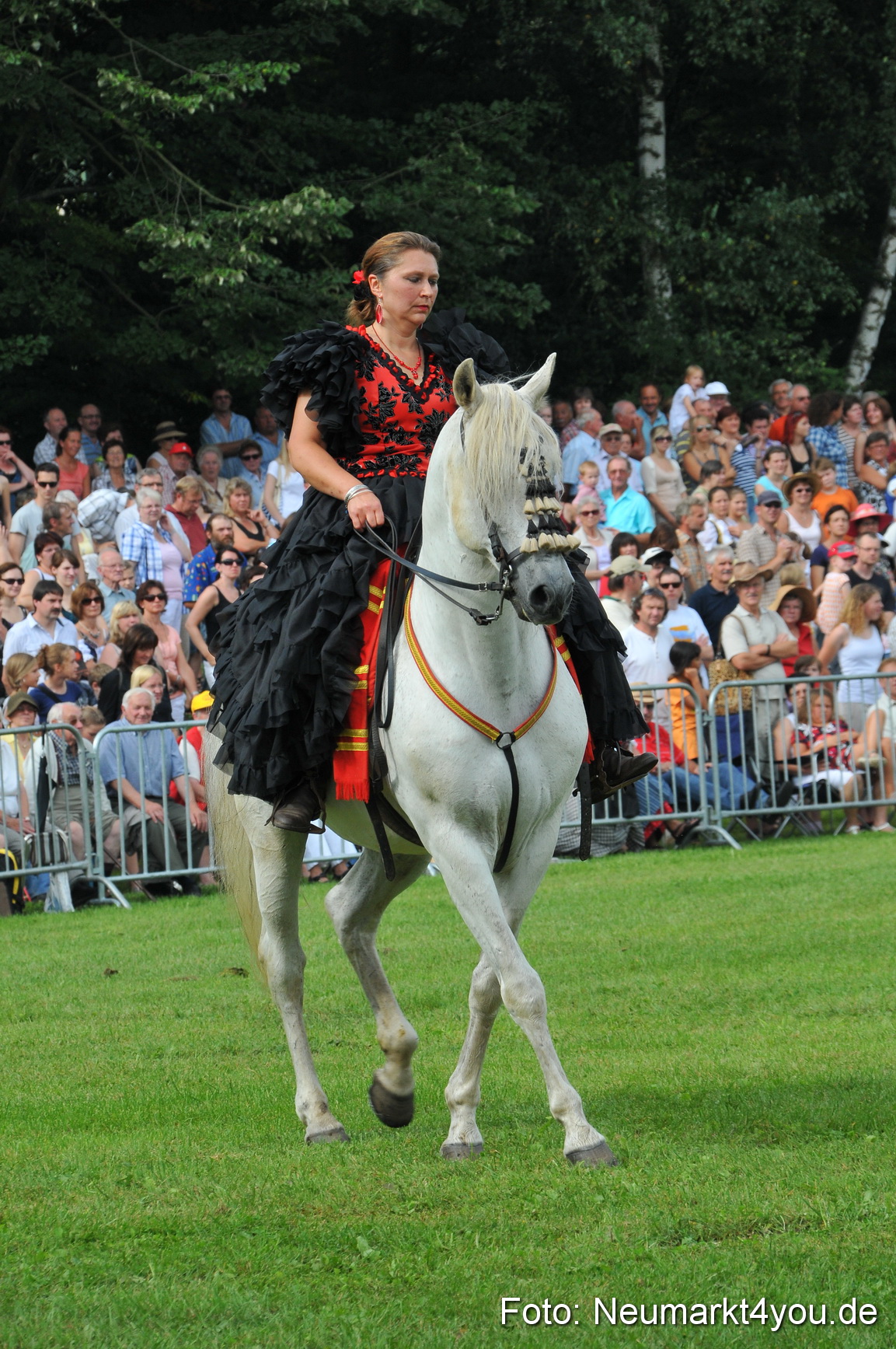 Pferdeschau Neumarkt 220811 0074