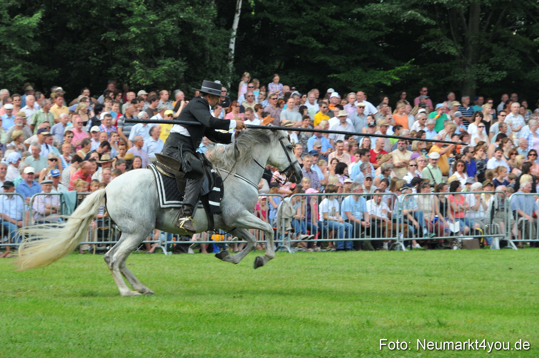Pferdeschau Neumarkt 220811 0075