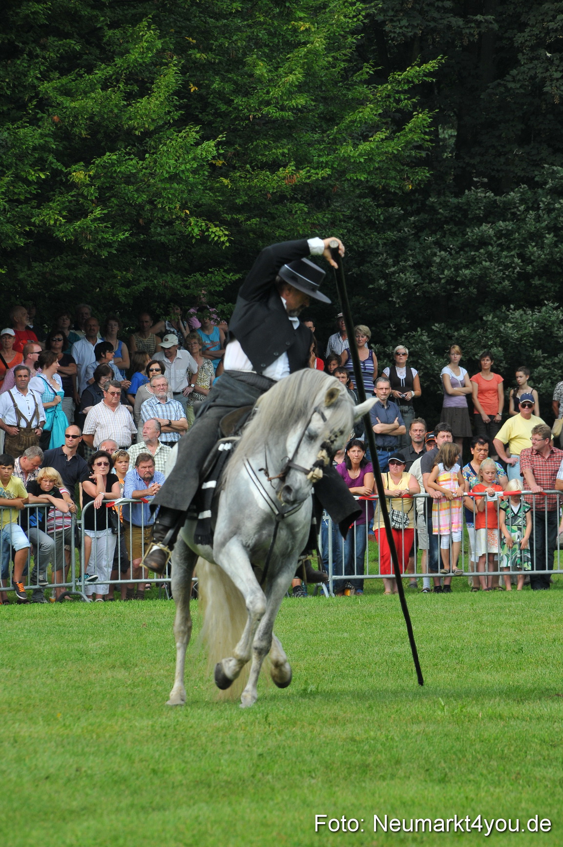 Pferdeschau Neumarkt 220811 0076
