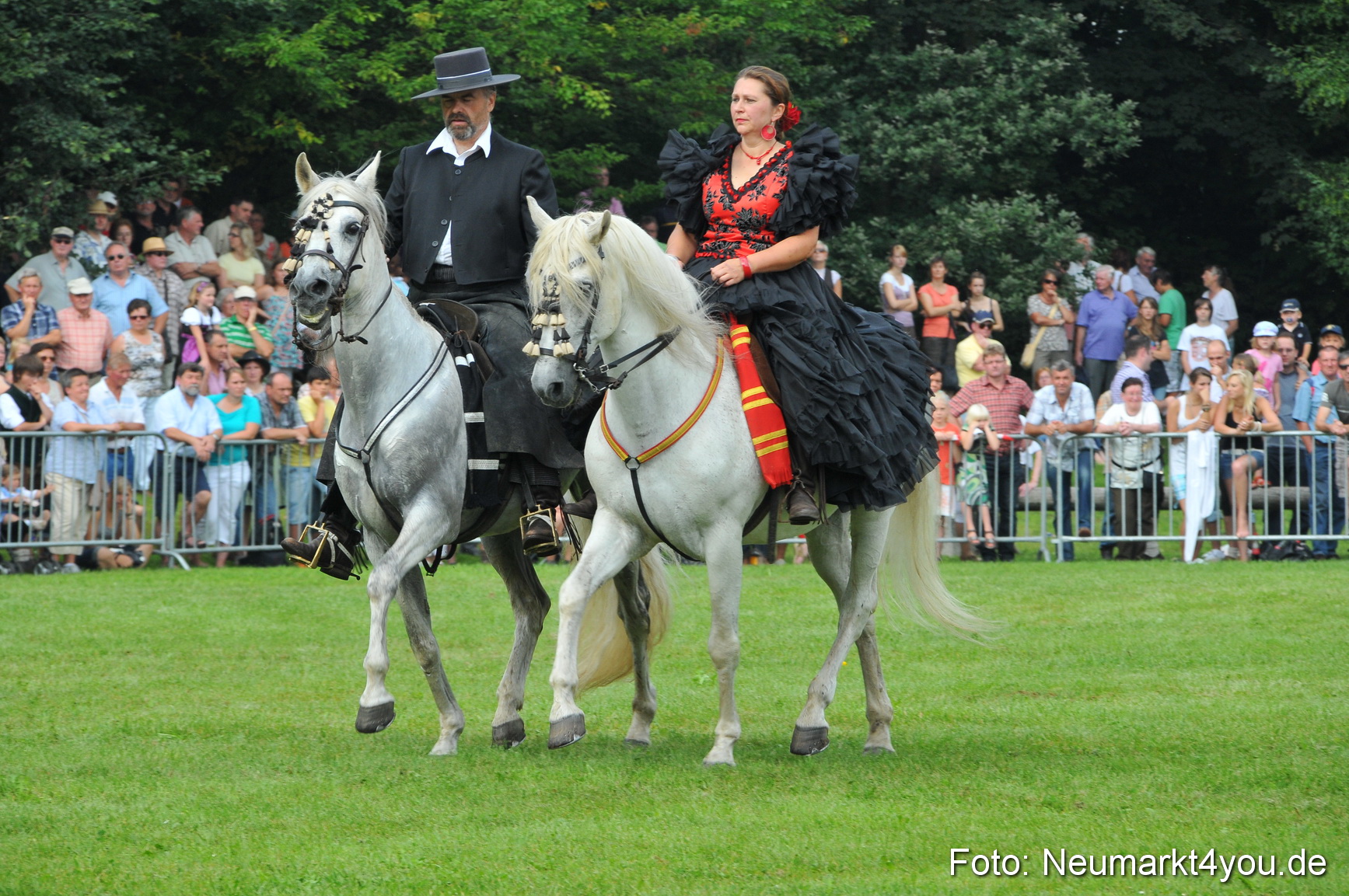 Pferdeschau Neumarkt 220811 0077