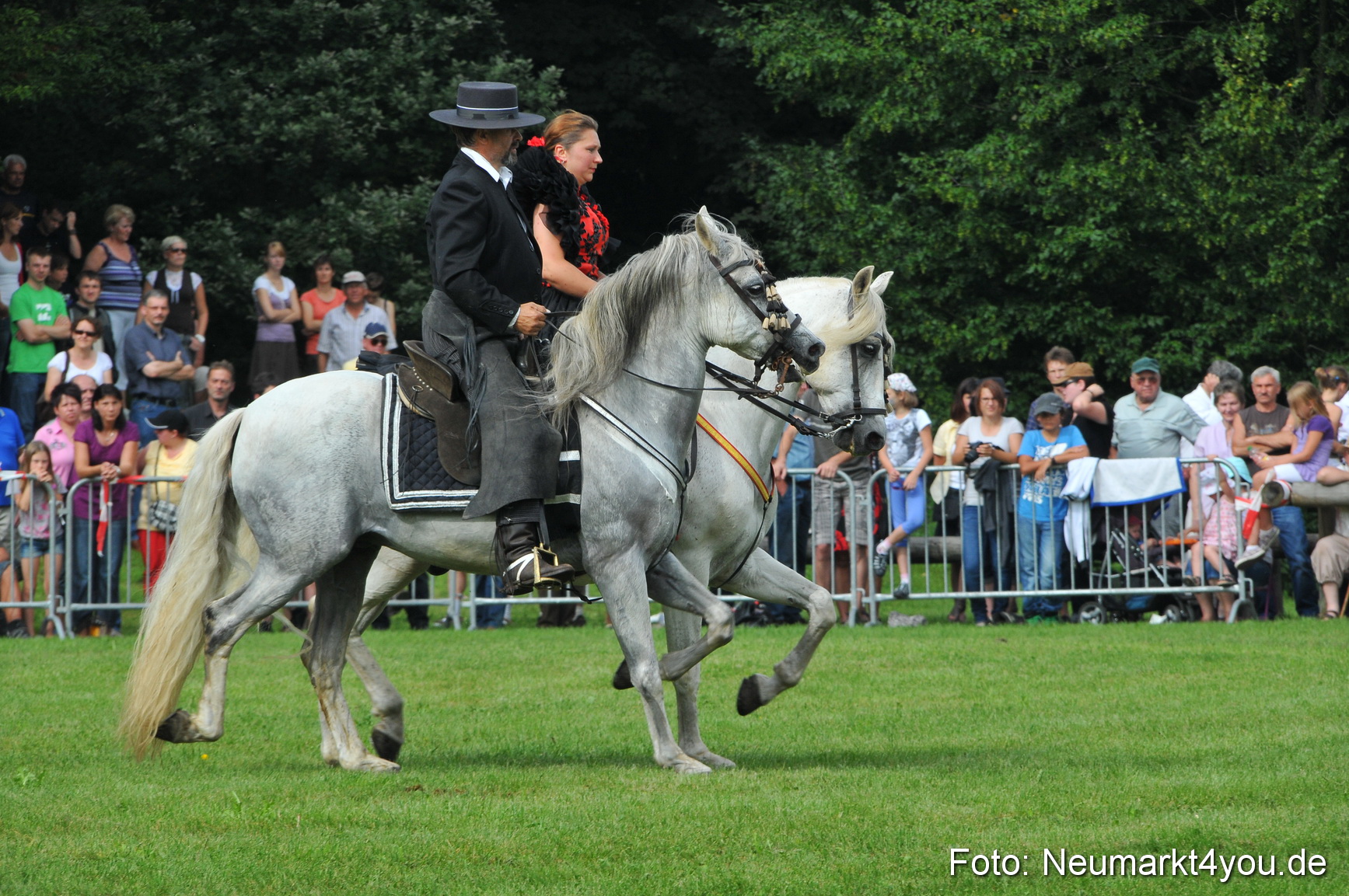 Pferdeschau Neumarkt 220811 0078