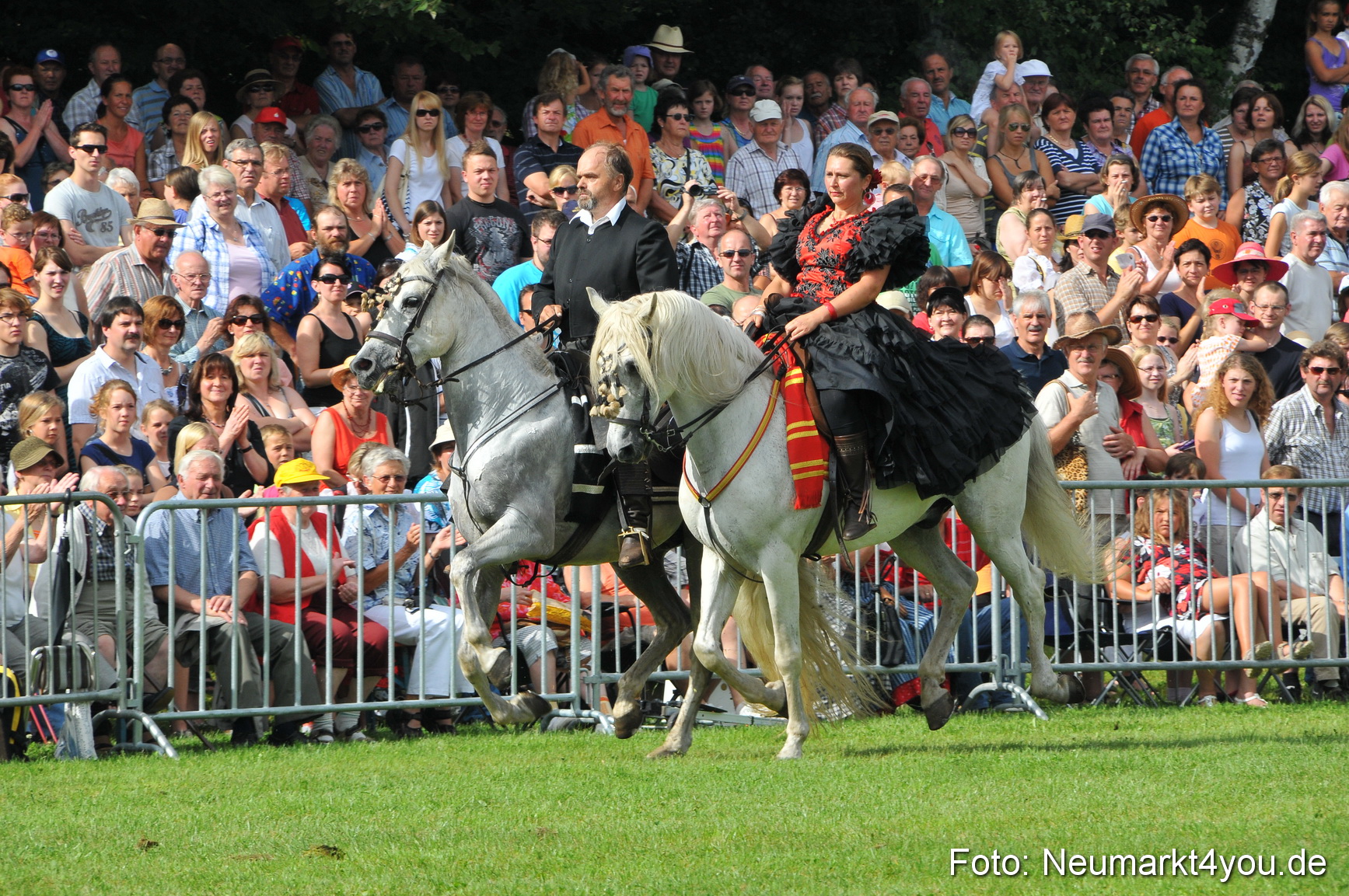 Pferdeschau Neumarkt 220811 0079