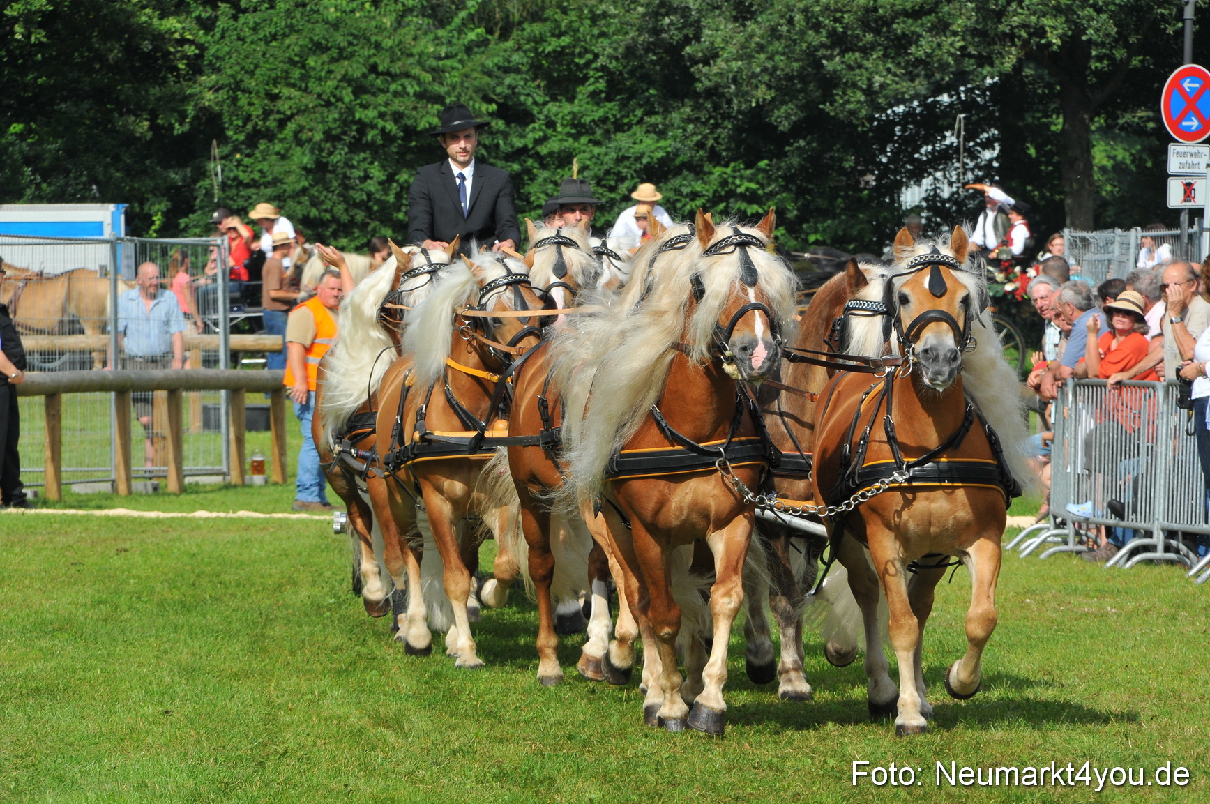 Pferdeschau Neumarkt 220811 0080