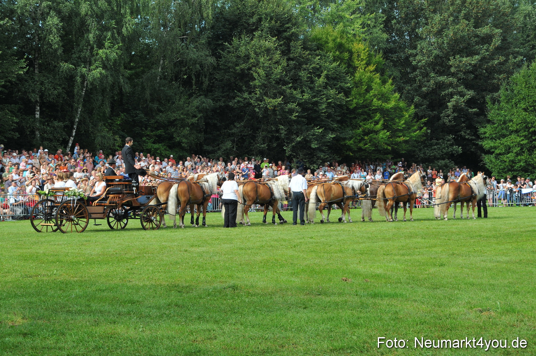Pferdeschau Neumarkt 220811 0084