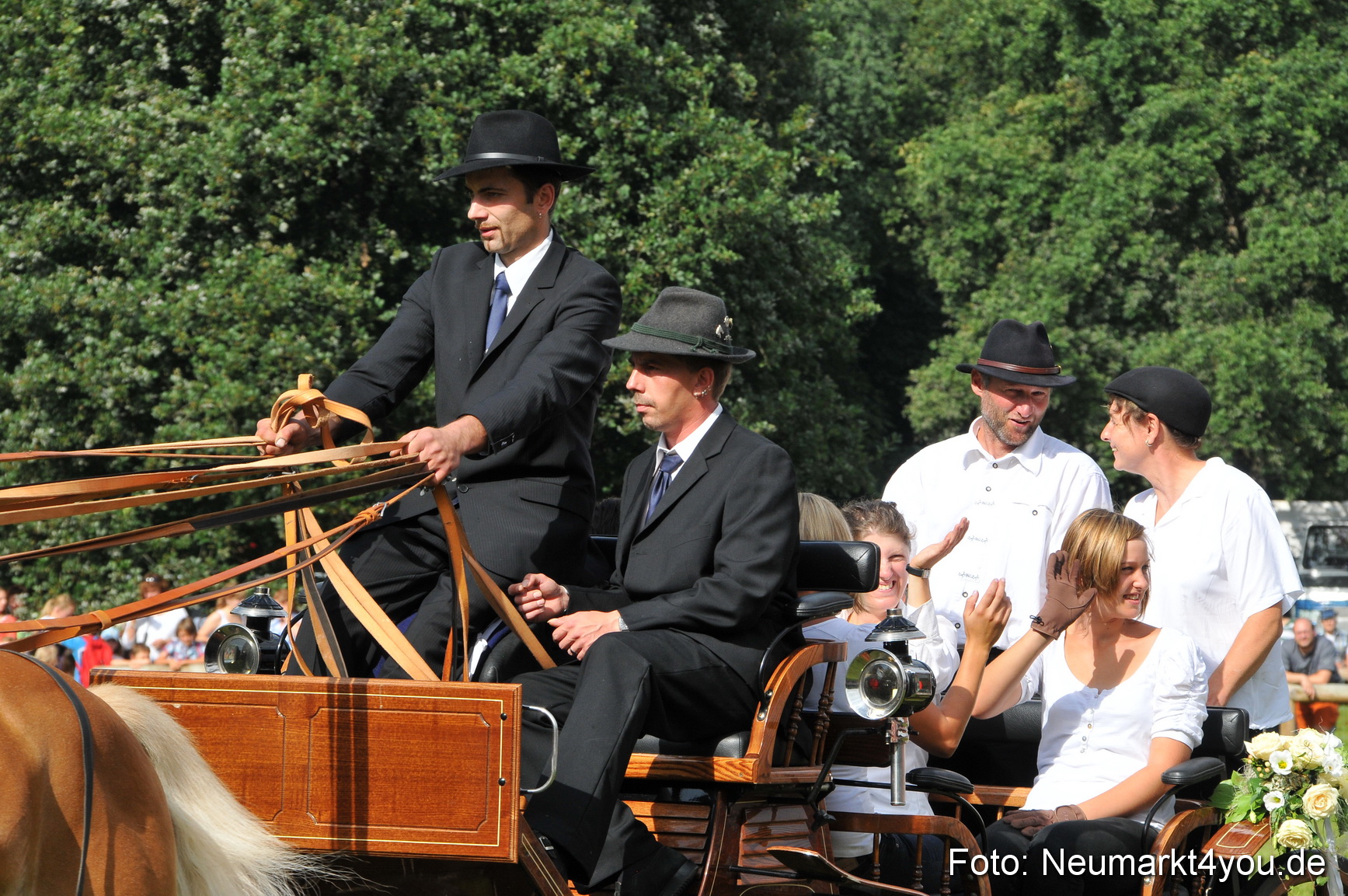 Pferdeschau Neumarkt 220811 0086