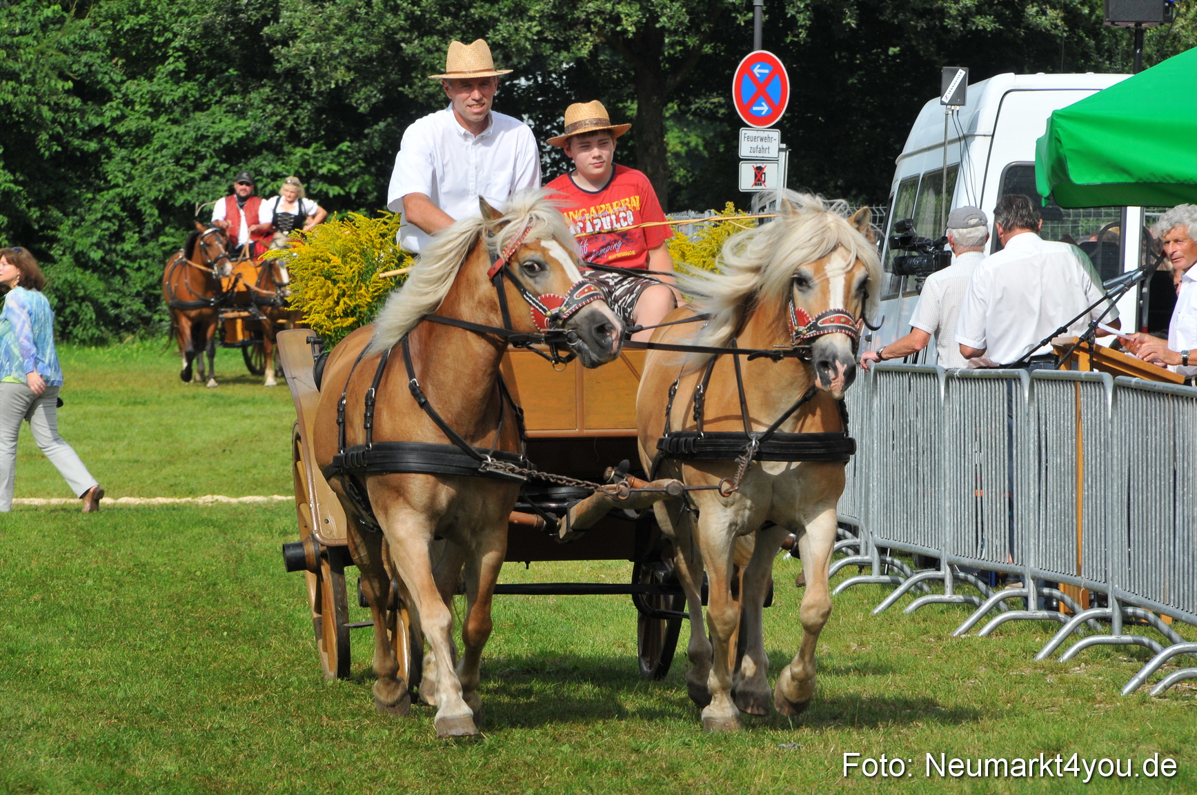 Pferdeschau Neumarkt 220811 0087